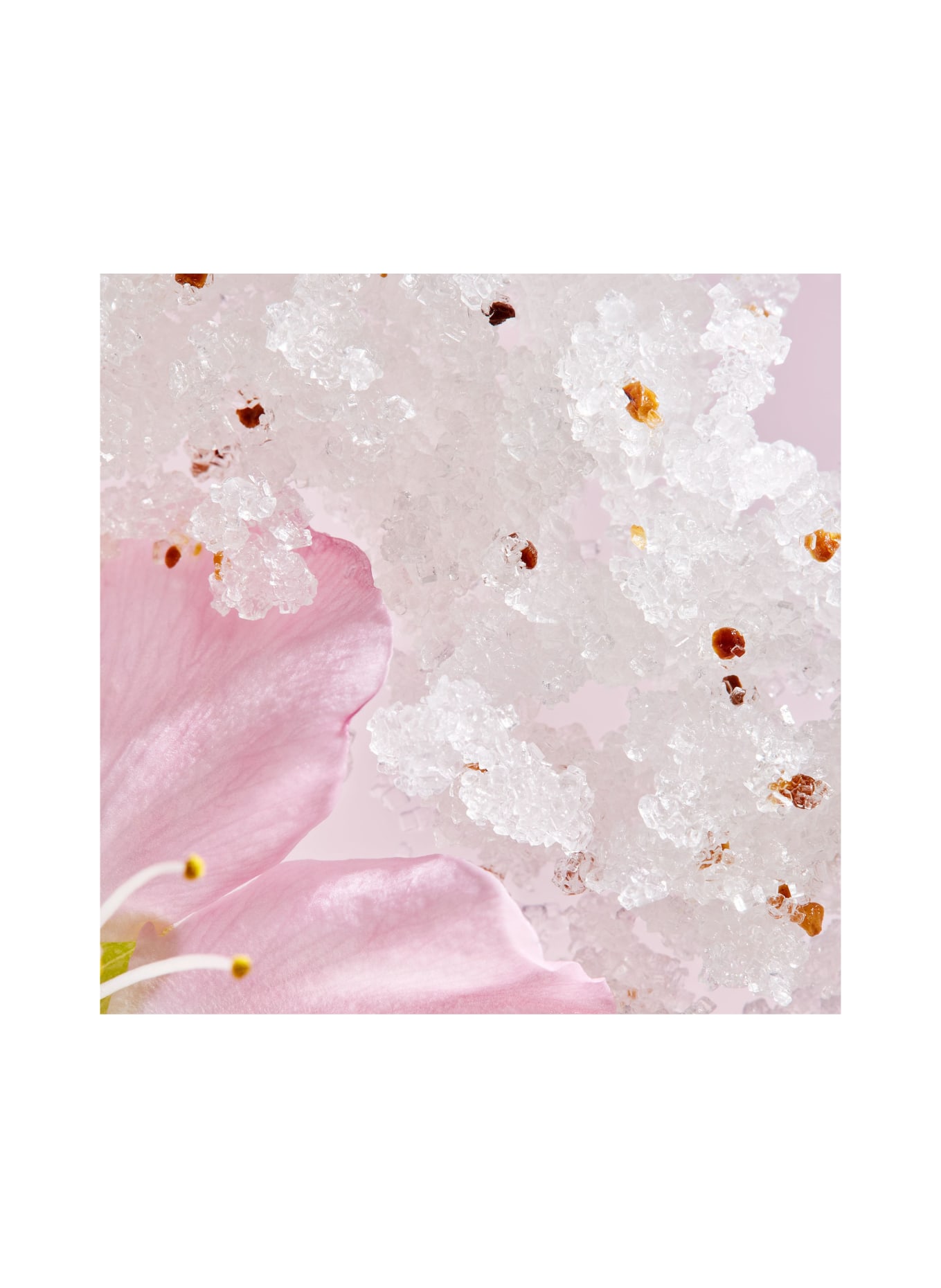 RITUALS THE RITUAL OF SAKURA