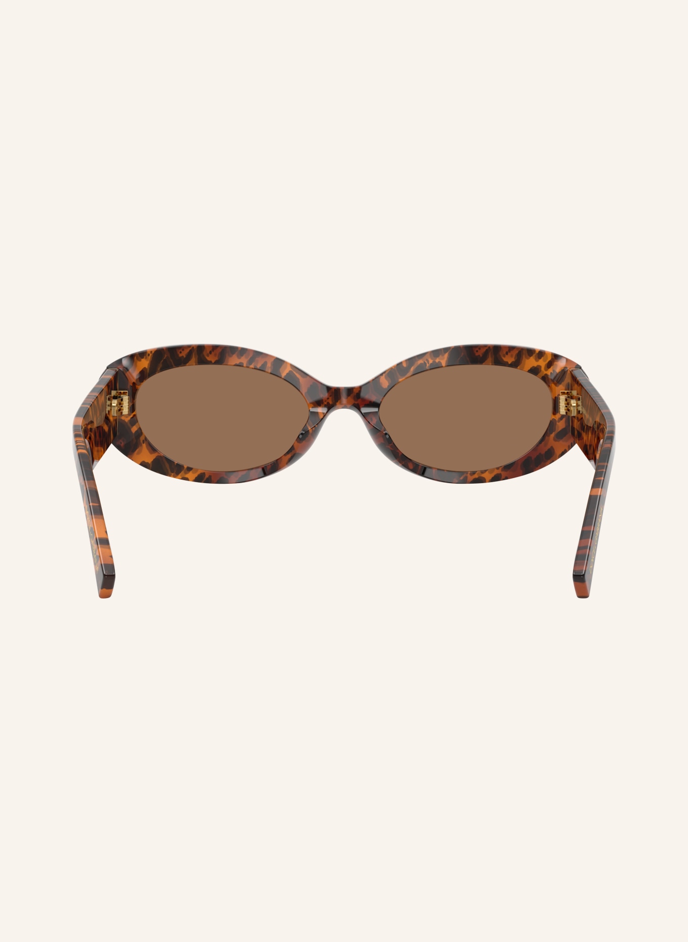 DOLCE & GABBANA Solbriller DG4537: Leo Transparent/Mørkebrun