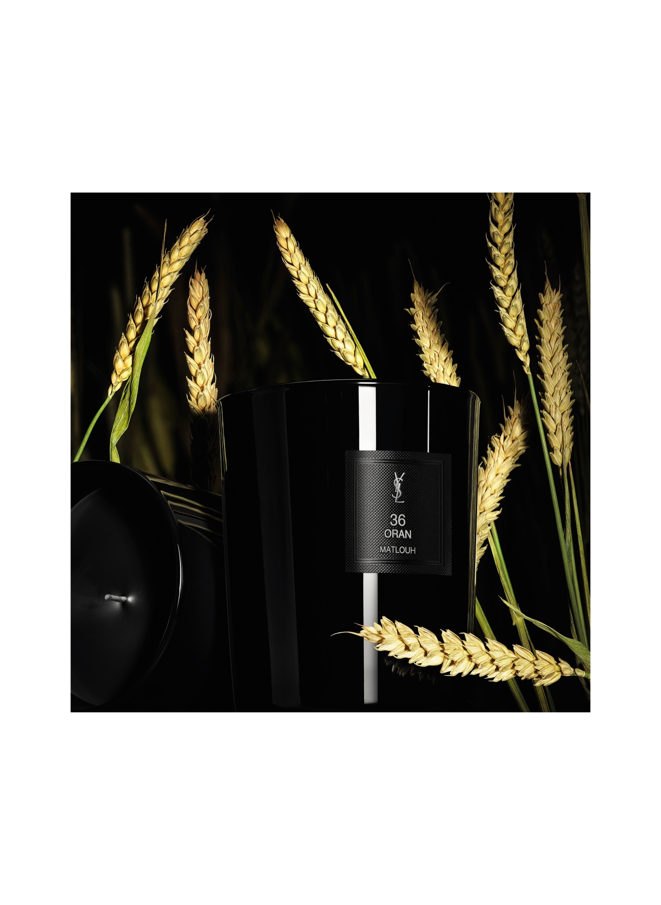 YSL - LE VESTIAIRE DES PARFUMS 36 ORAN