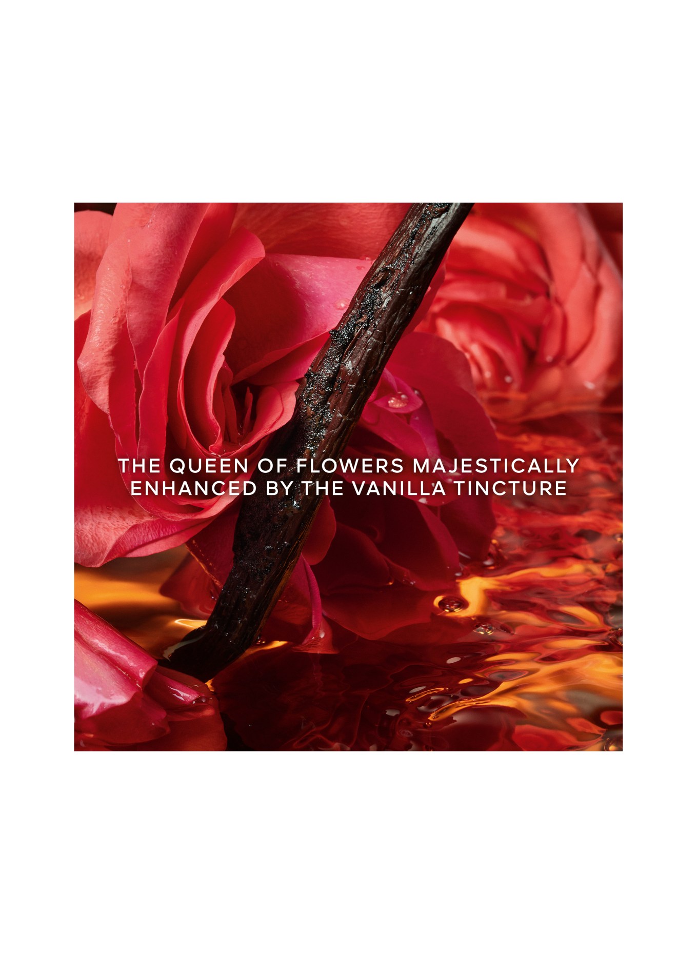 GUERLAIN SHALIMAR MILLÉSIME ROSE