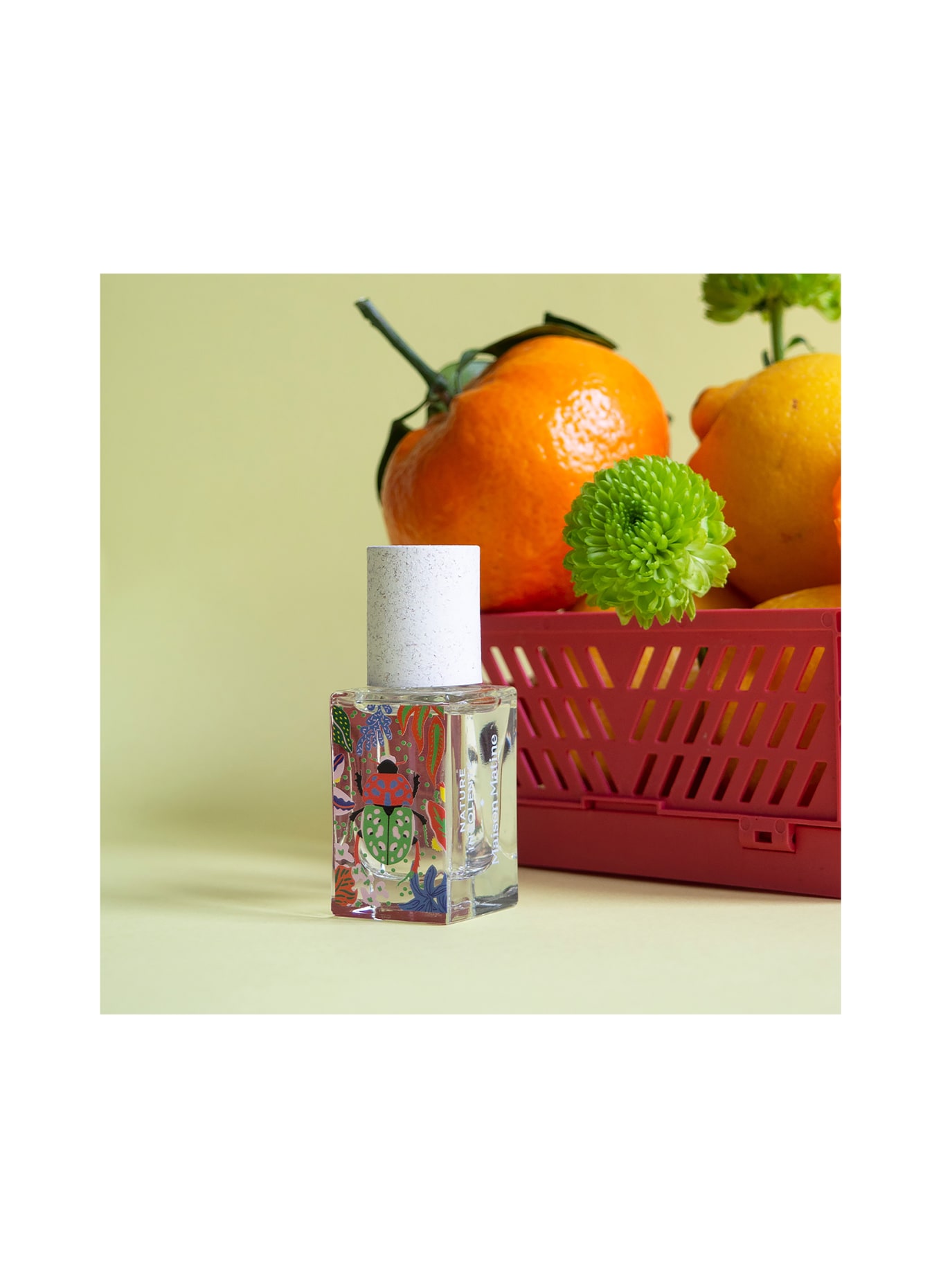 MAISON MATINE NATURE INSOLENTE
