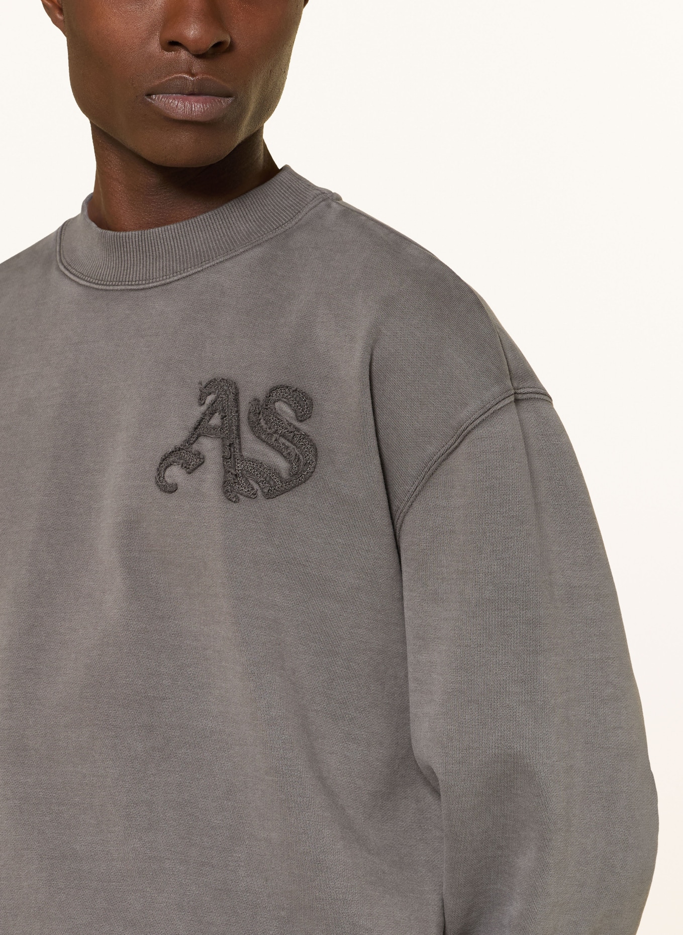 ALLSAINTS Sweatshirt INSIGNIA: GRAU