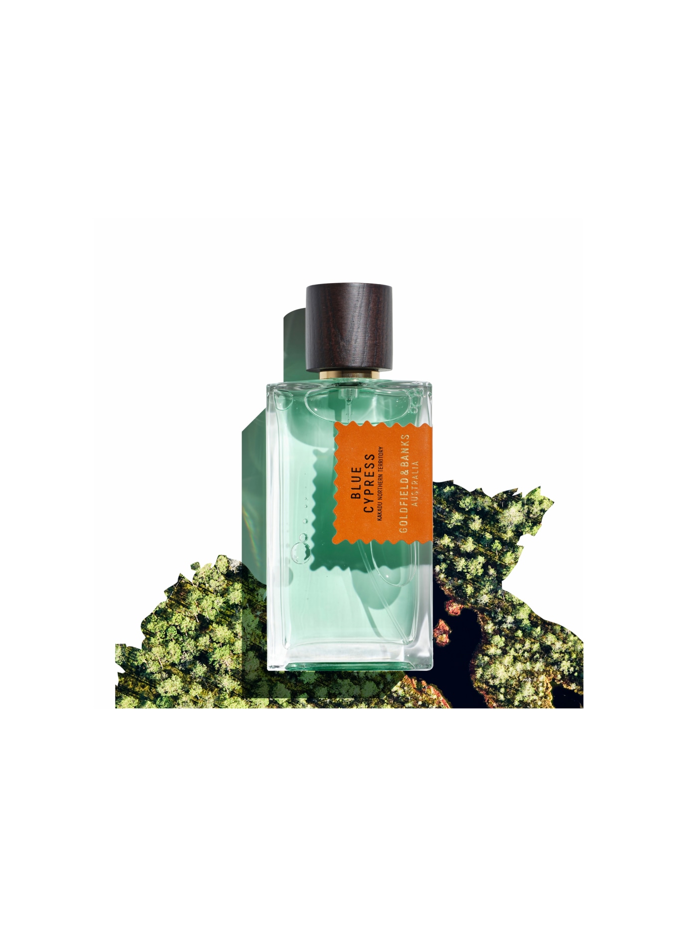 GOLDFIELD & BANKS BLUE CYPRESS