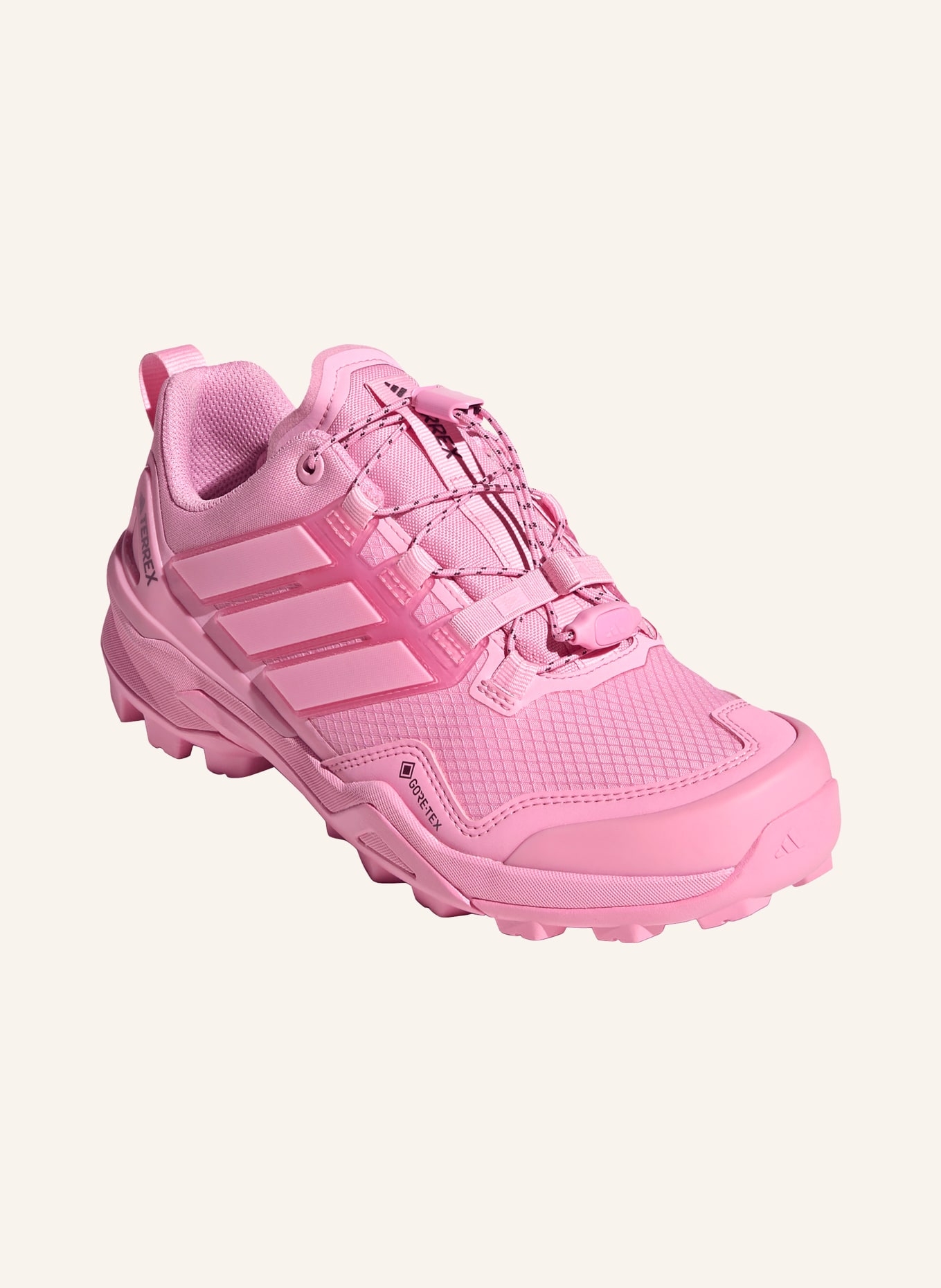 adidas TERREX Wanderschuhe TERREX SKYCHASER GTX: ROSA