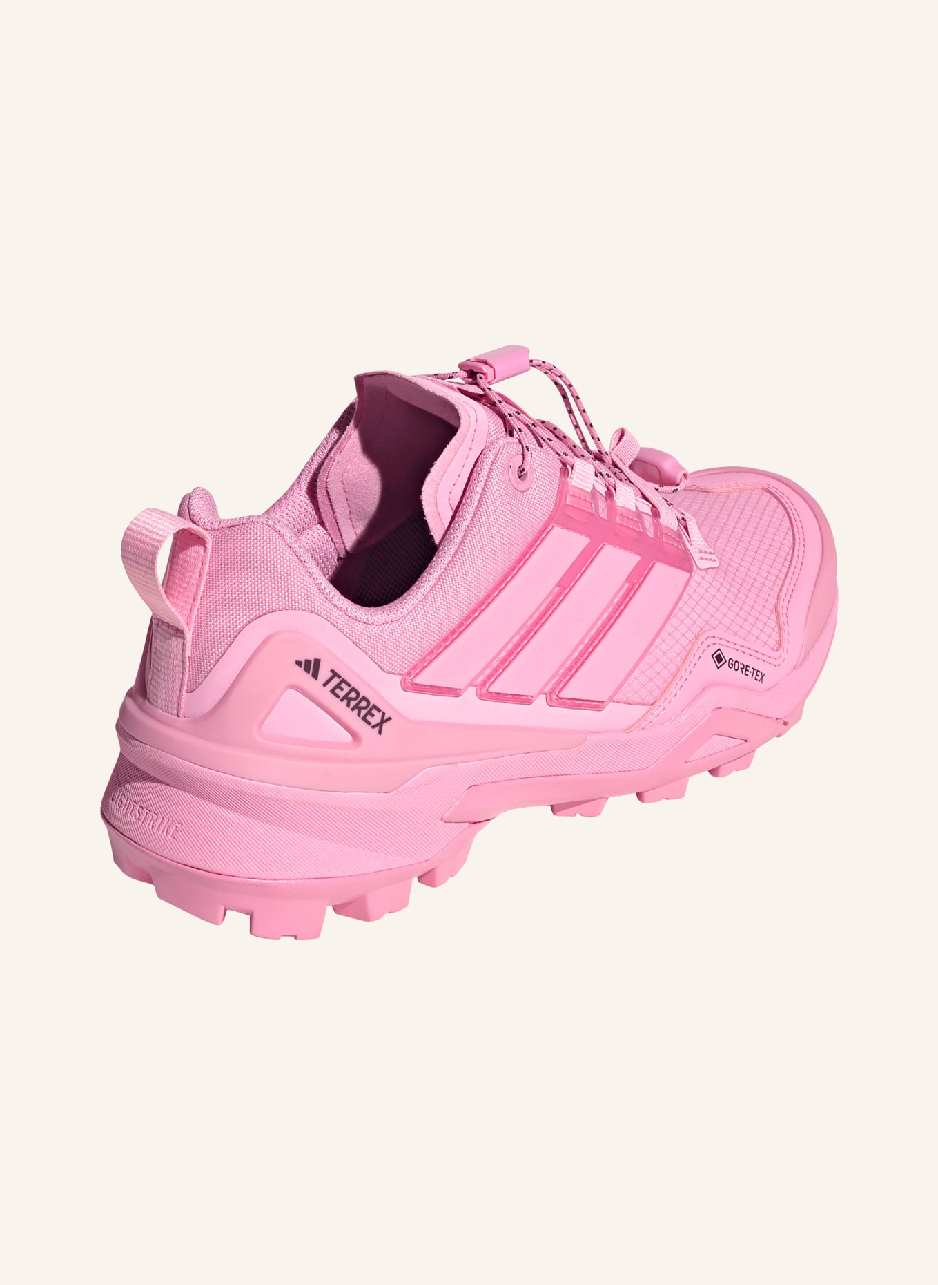 adidas TERREX Wanderschuhe TERREX SKYCHASER GTX: ROSA
