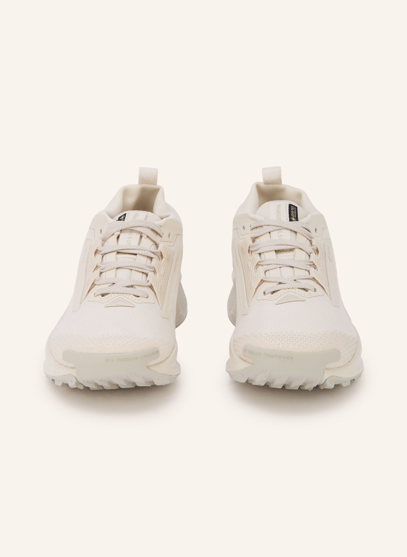 Nike Trail running shoes PEGASUS TRAIL 5 GTX: CREAM / ECRU / LIGHT GRAY