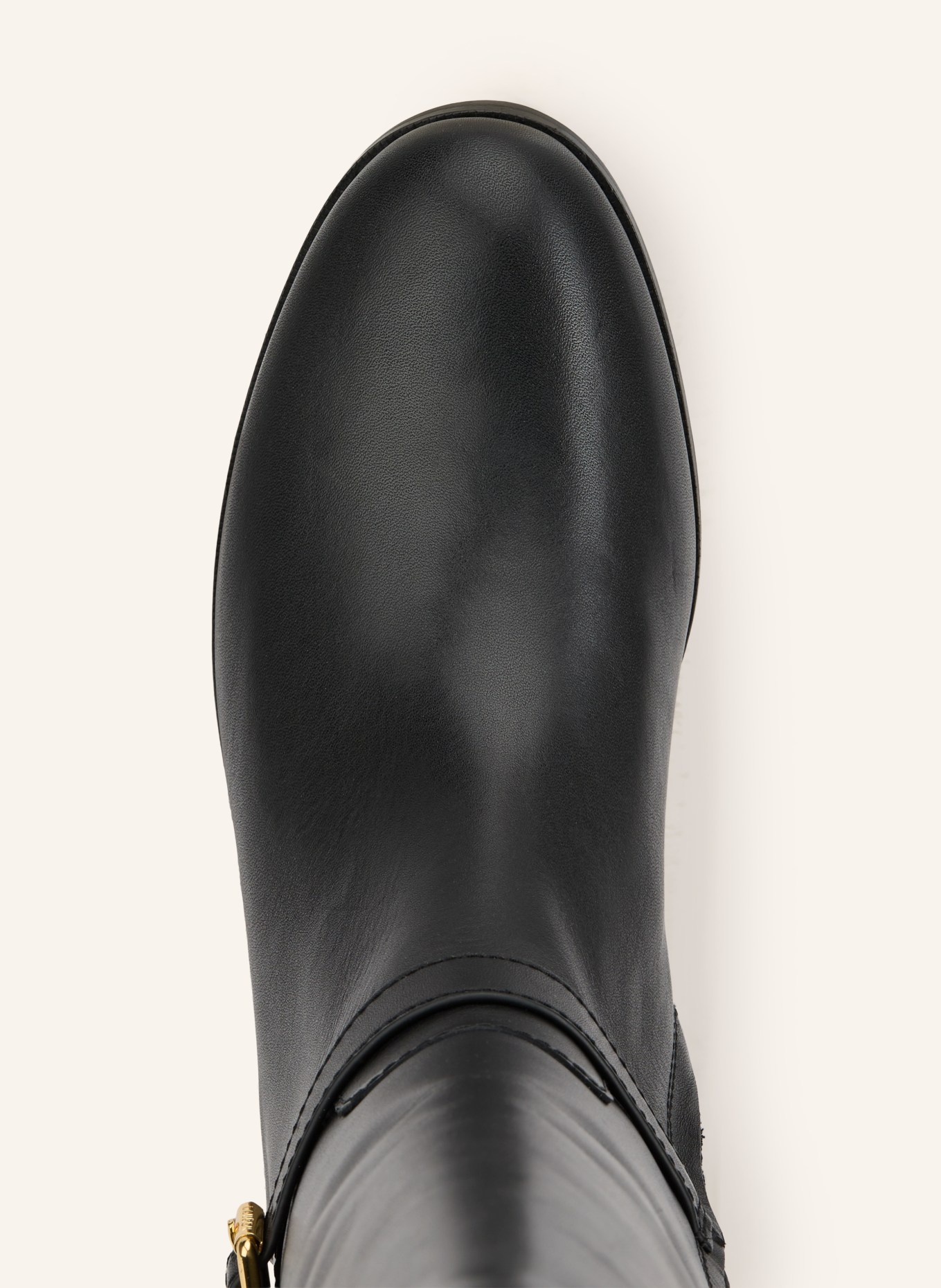 LAUREN RALPH LAUREN Stiefel: SCHWARZ / GOLD