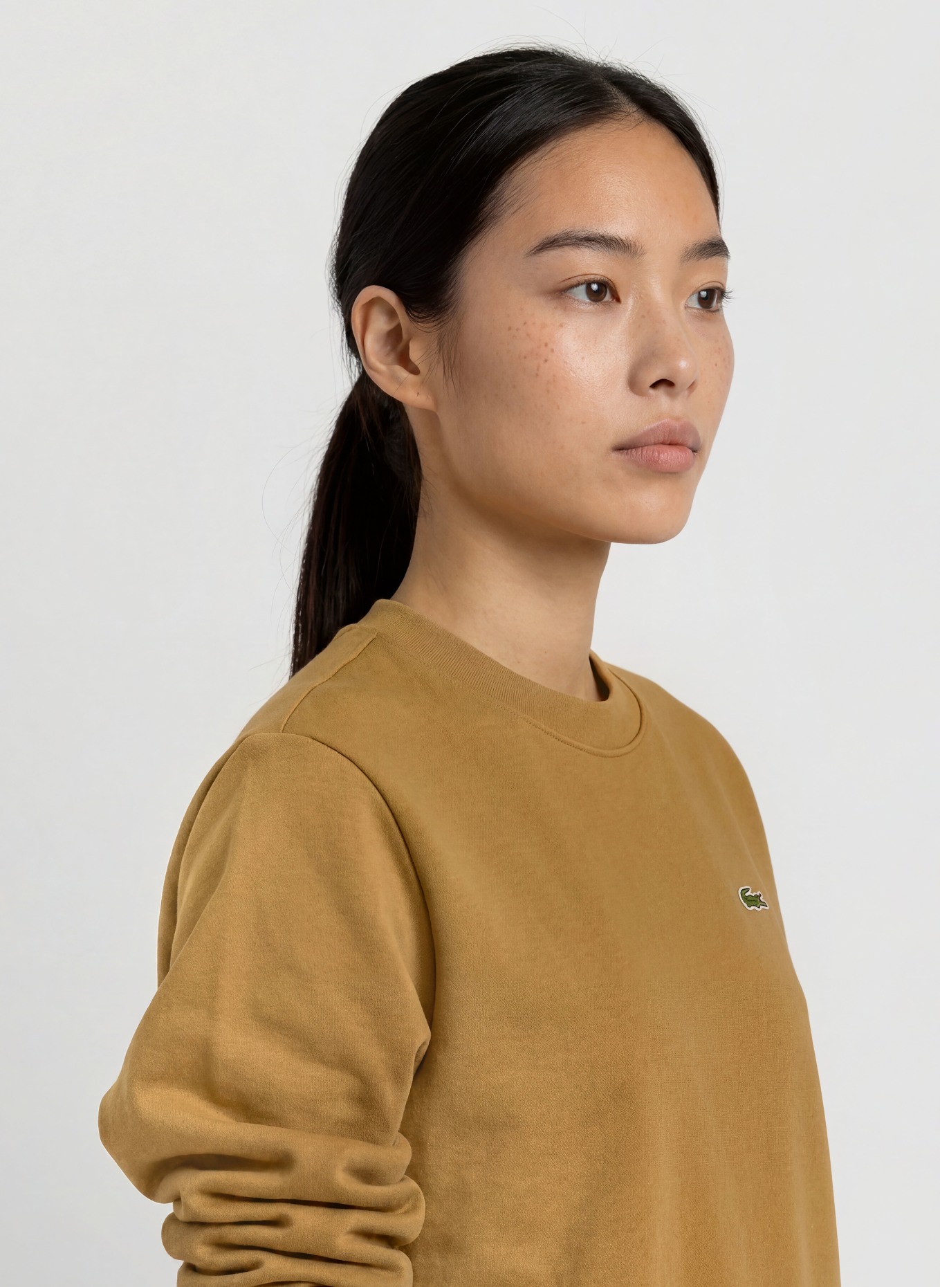 LACOSTE sweatshirt: BRUIN