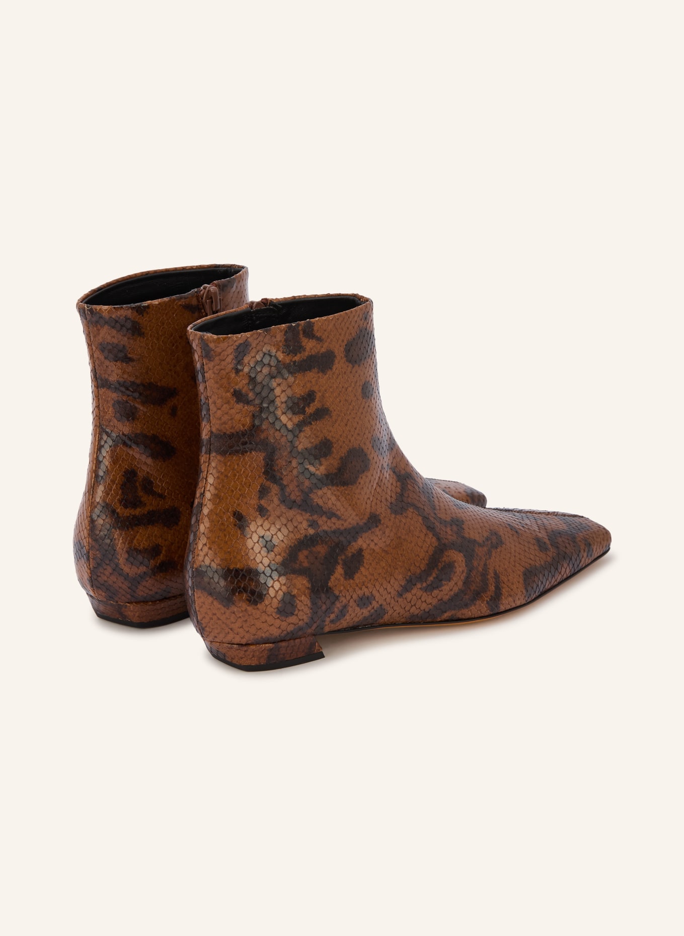 Proenza Schouler Ankle boots: BROWN / BLACK
