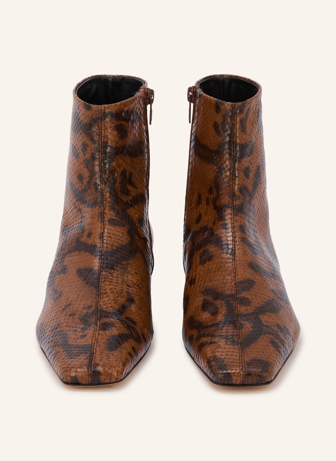 Proenza Schouler Ankle boots: BROWN / BLACK