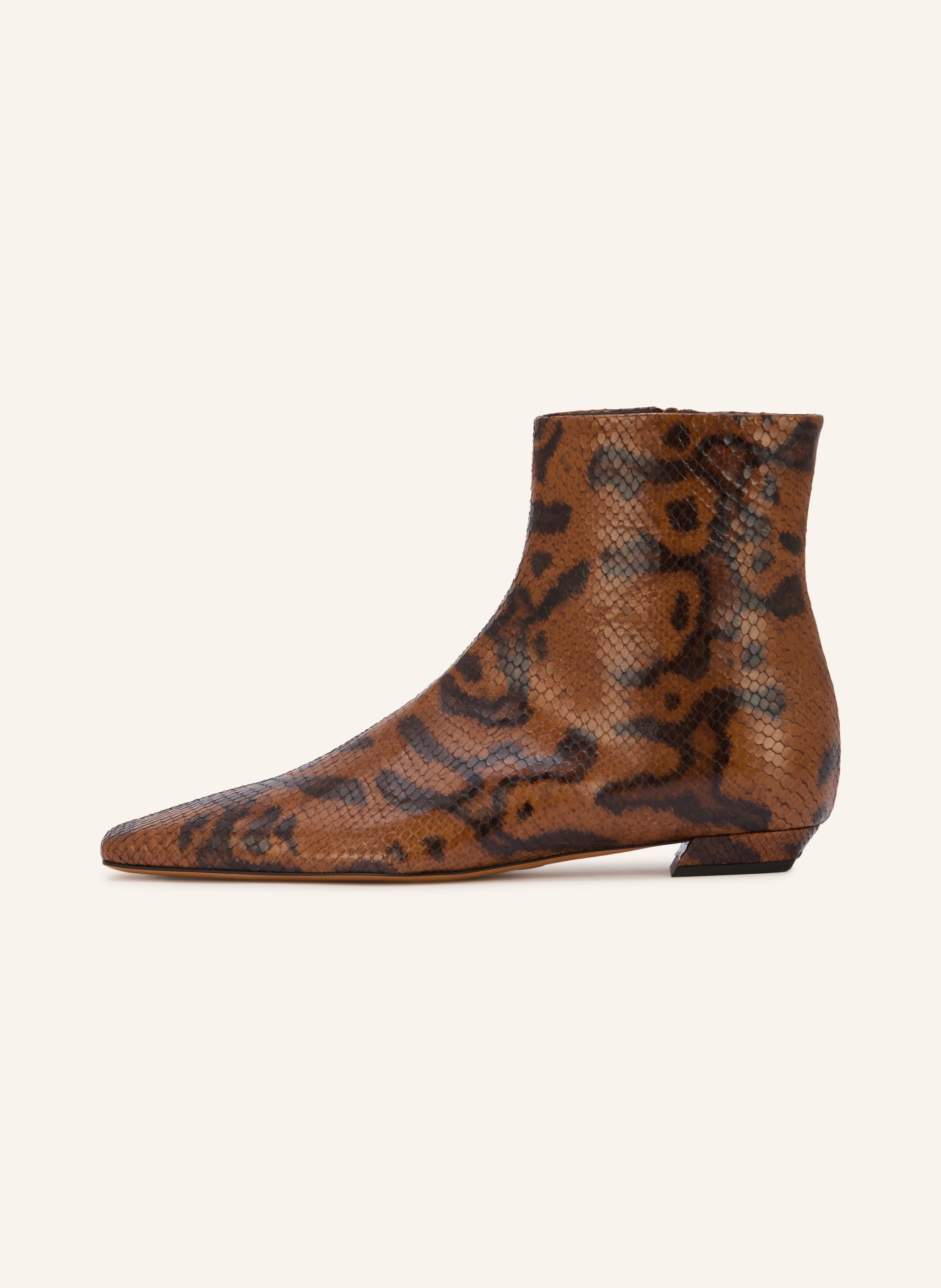 Proenza Schouler Ankle boots: BROWN / BLACK