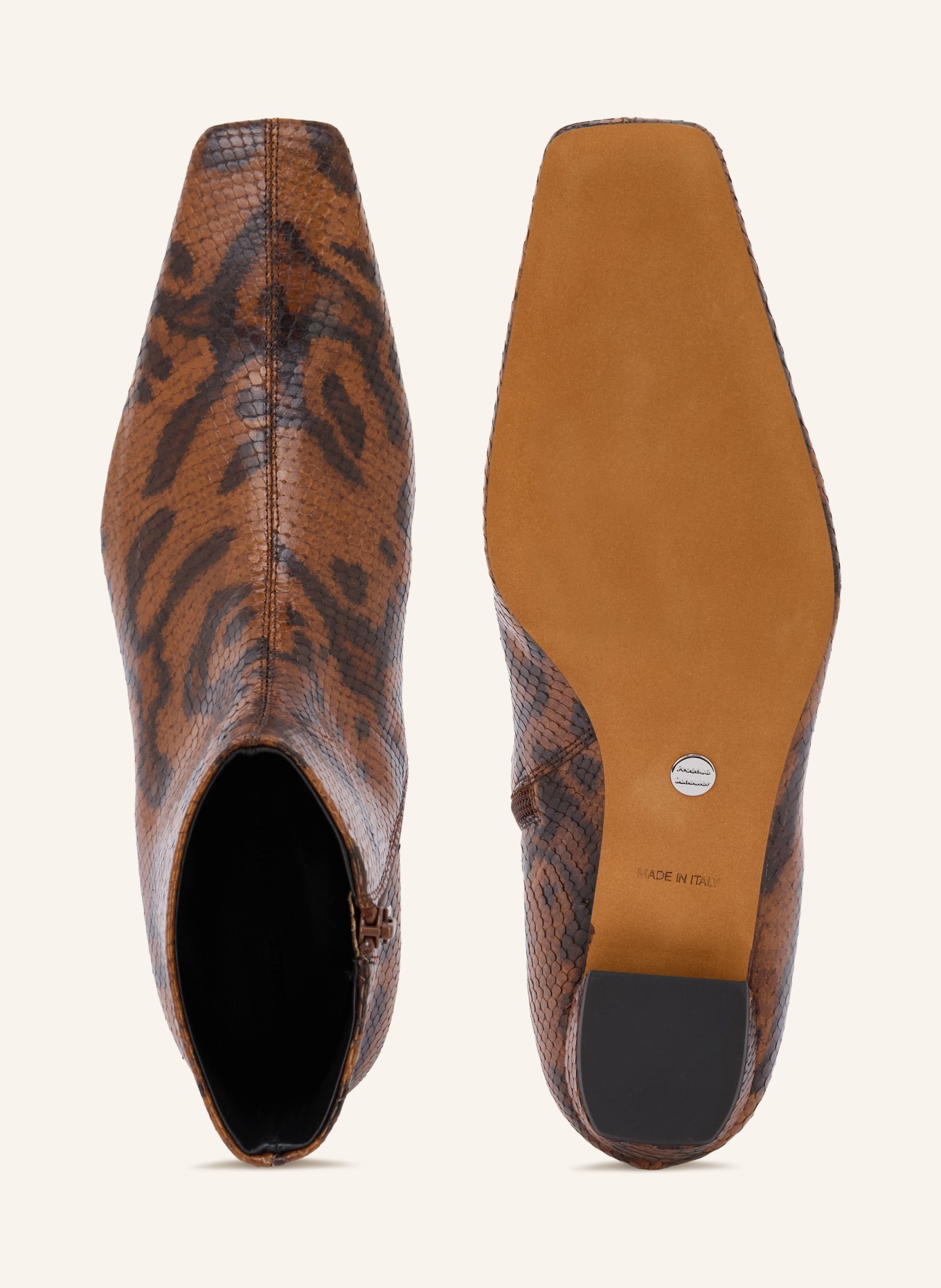 Proenza Schouler Ankle boots: BROWN / BLACK