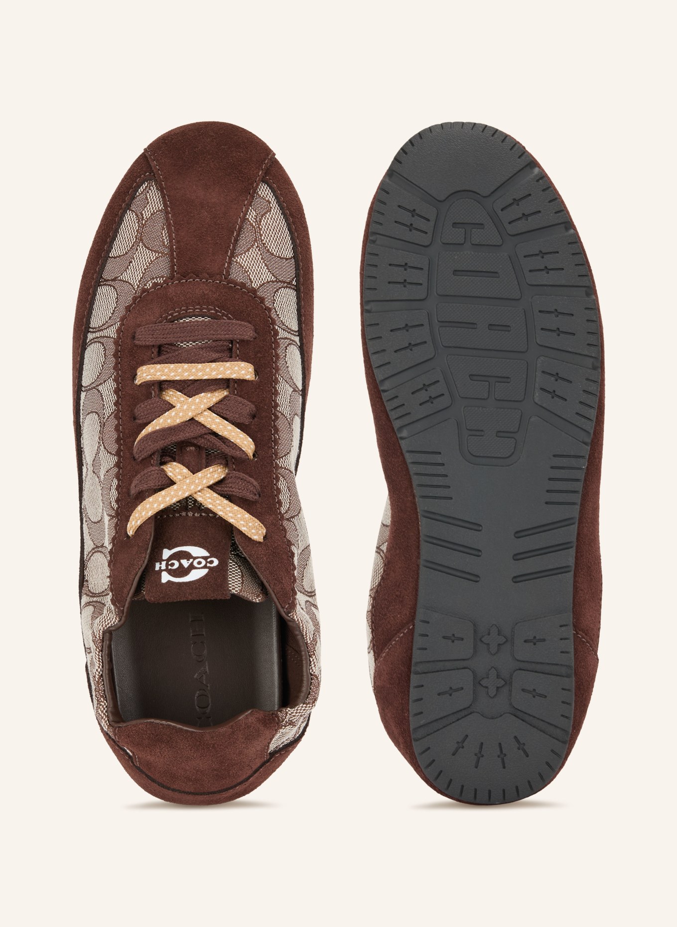 COACH Sneakers: MARRON FONCÉ / BEIGE