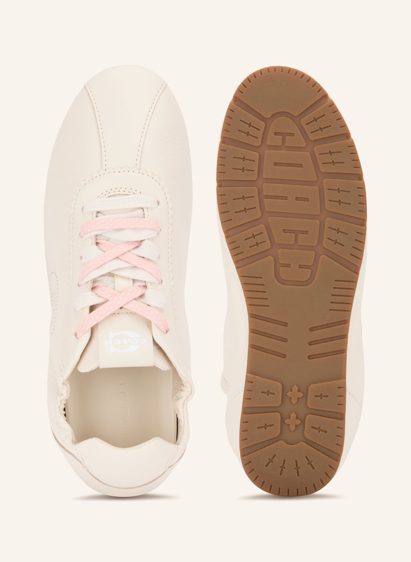 COACH Sneakers: WIT