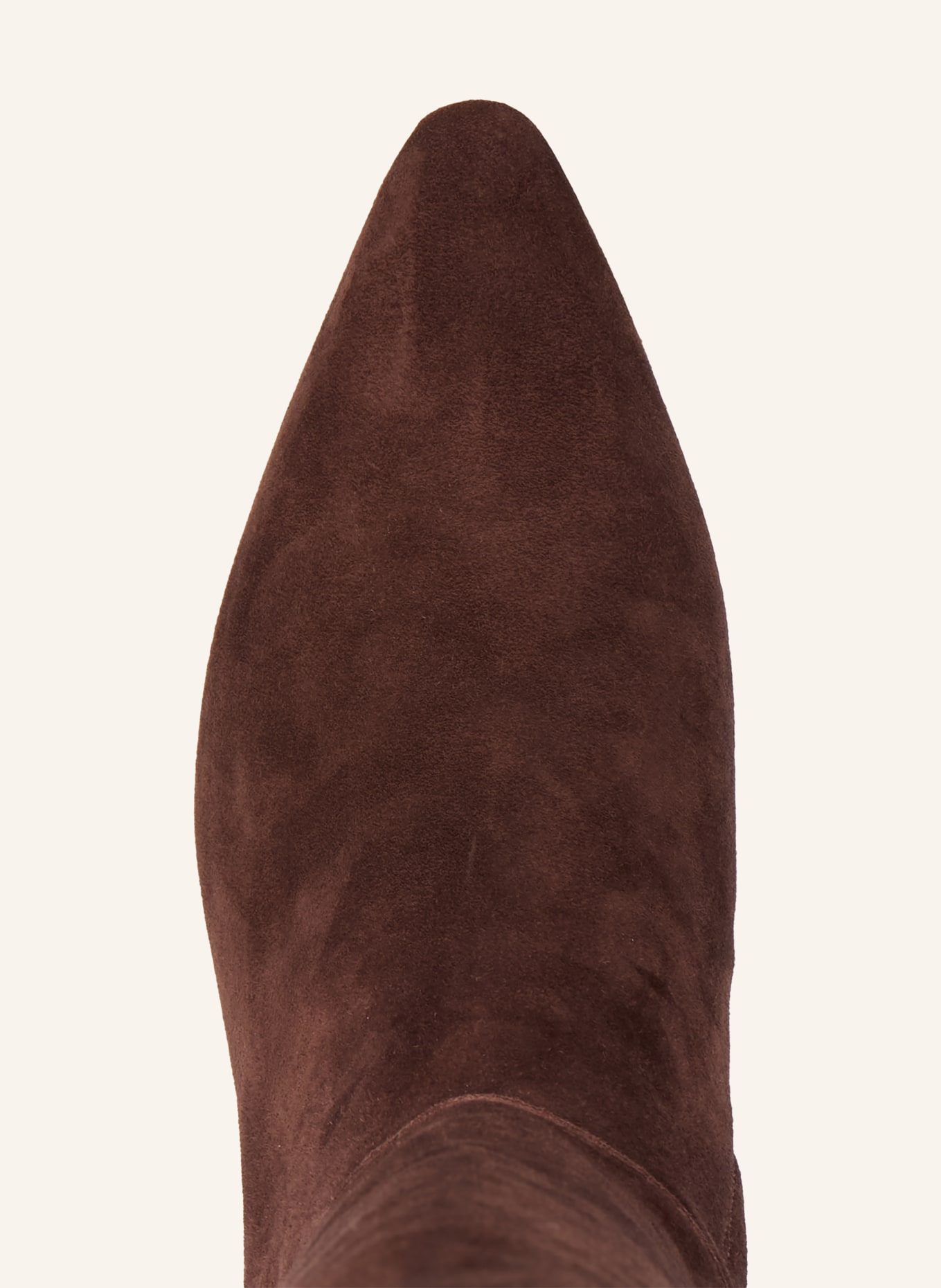 LAUREN RALPH LAUREN Laarzen FRANCESCA: MARRON FONCÉ / GOUD