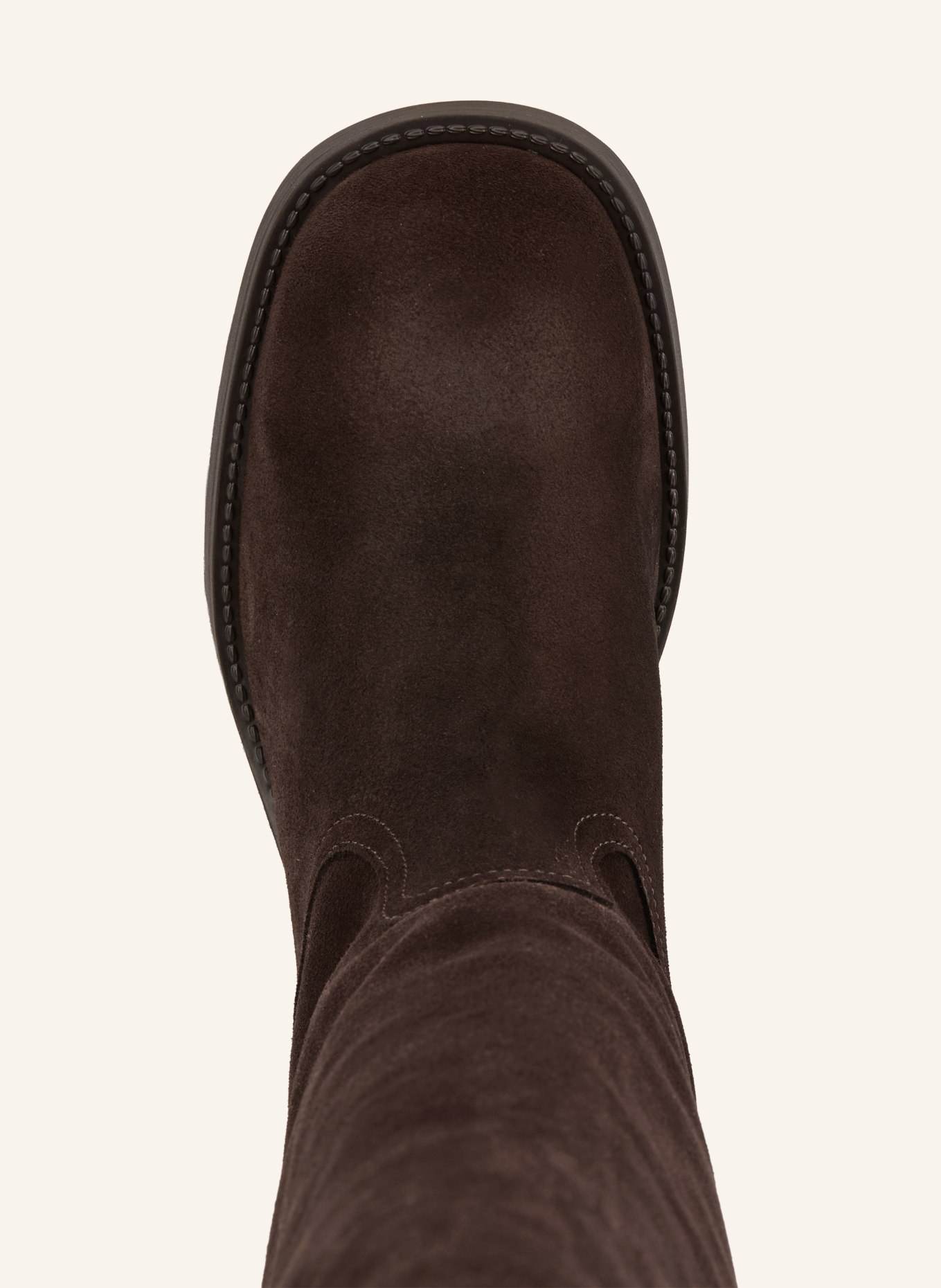 STEVE MADDEN Stiefel: DUNKELBRAUN