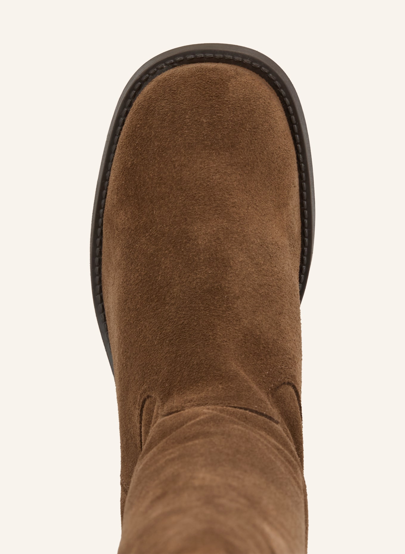 STEVE MADDEN Stiefel: BRAUN