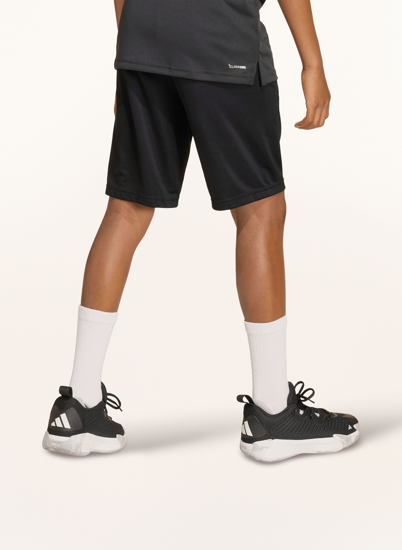 adidas Shorts TRAIN ESSENTIALS: SCHWARZ / WEISS