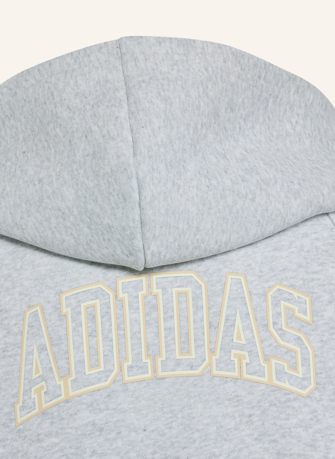 adidas SEASONALS COLLEGIATE TYPOGRAPHY FULL ZIP Zip-up sweatshirt: LIGHT GRAY / CAMEL / WHITE