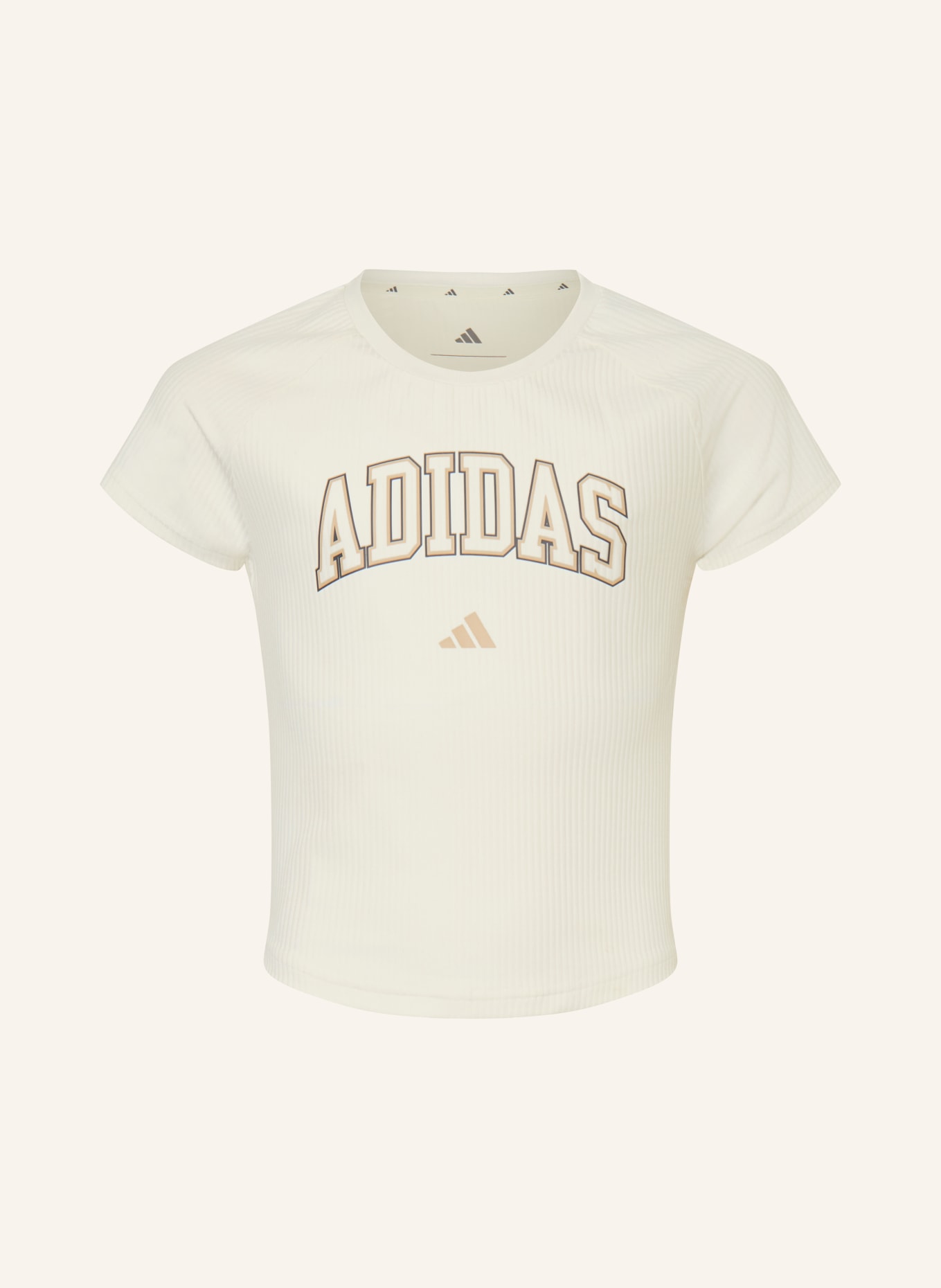 adidas T-shirt SPORT SEASONALS COLLEGIATE TYPOGRAPHY: CRÈME / MARRON FONCÉ / BEIGE