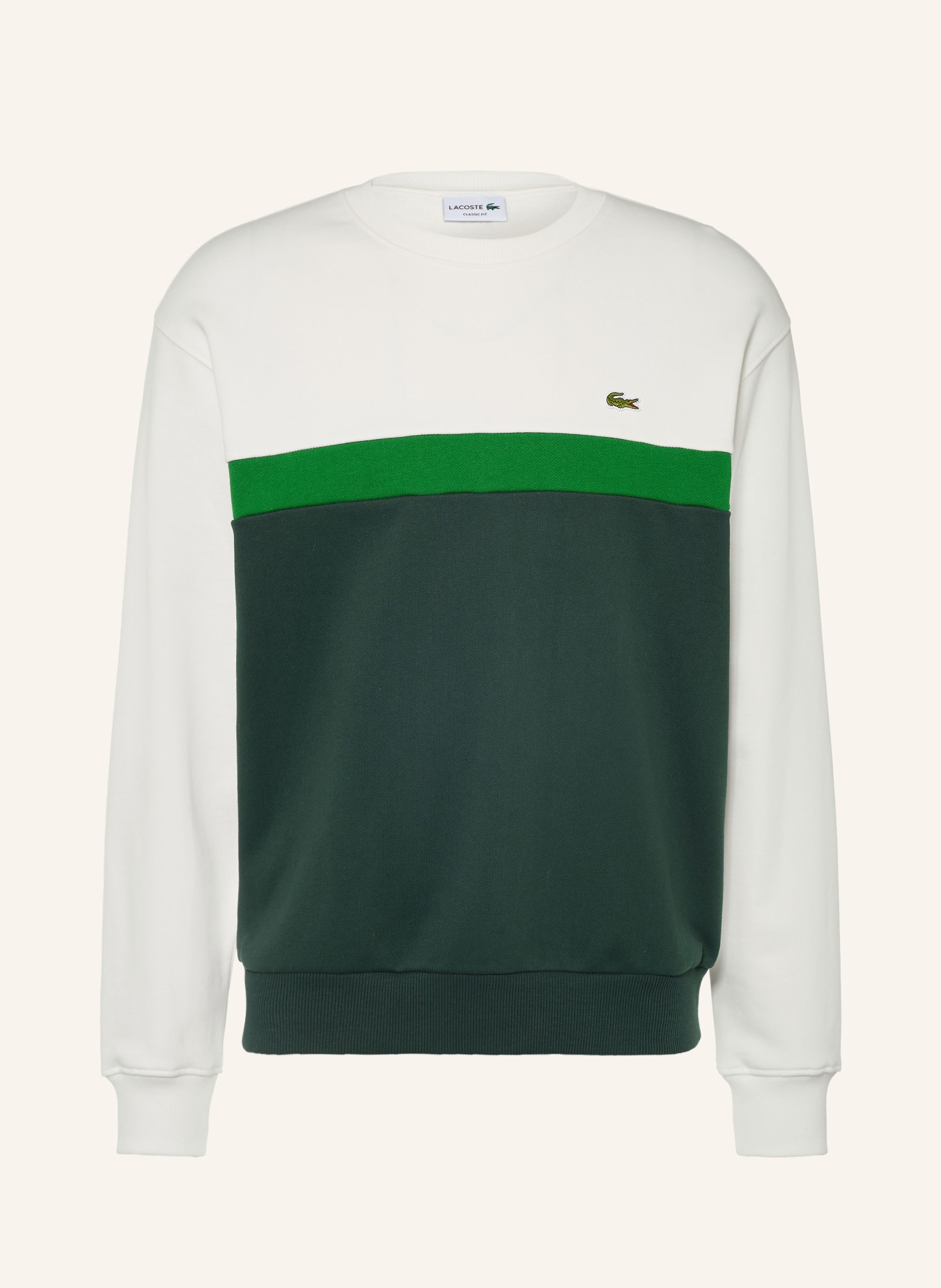 LACOSTE Sweatshirt: CRÈME / DONKERGROEN / GROEN