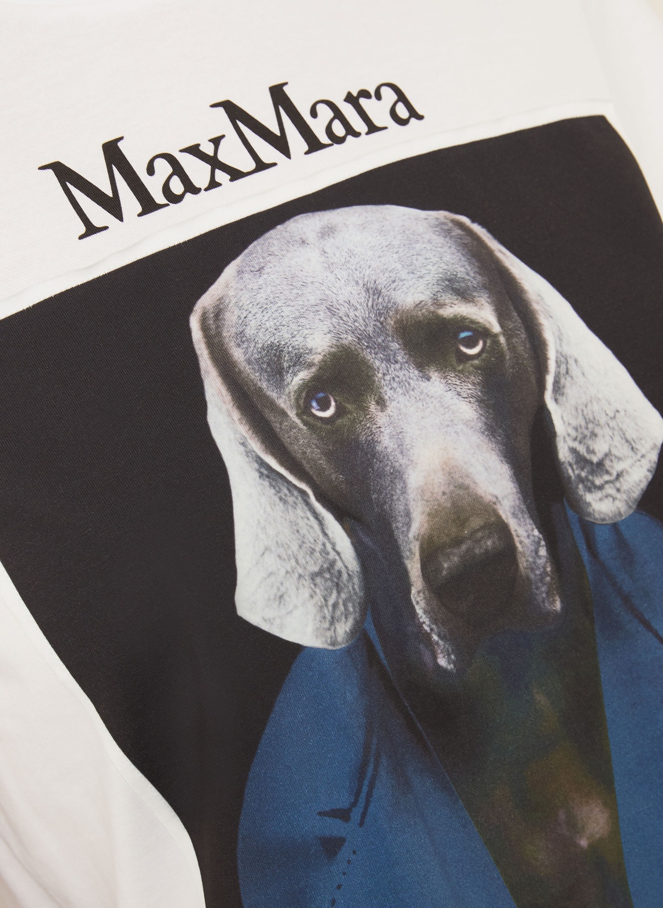 Max Mara CALCA T-shirt: WHITE / DARK BLUE / BLACK