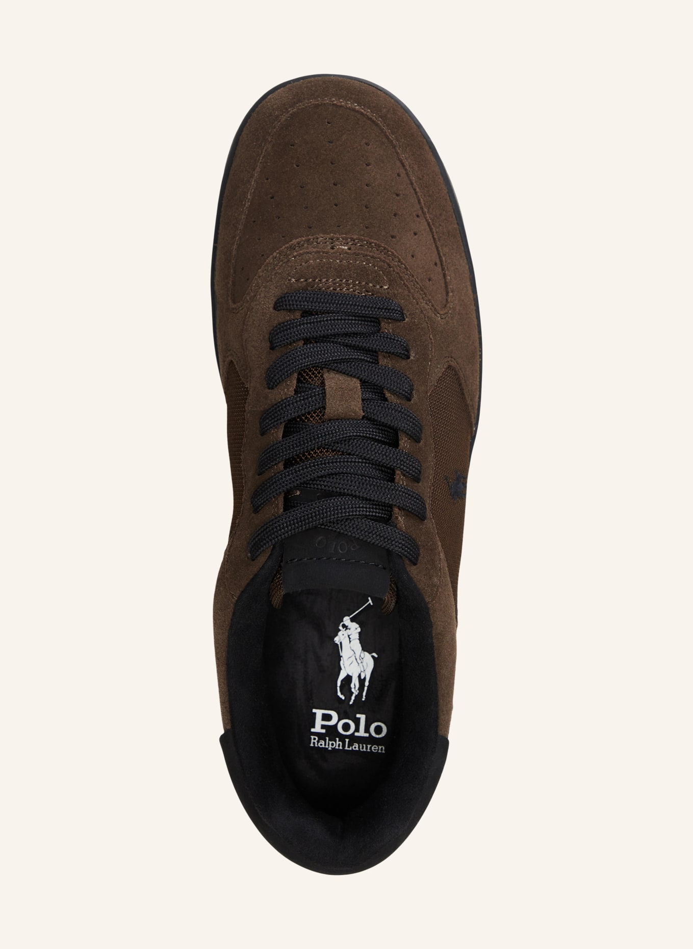 POLO RALPH LAUREN Sneaker MASTERS COURT: BRAUN / SCHWARZ