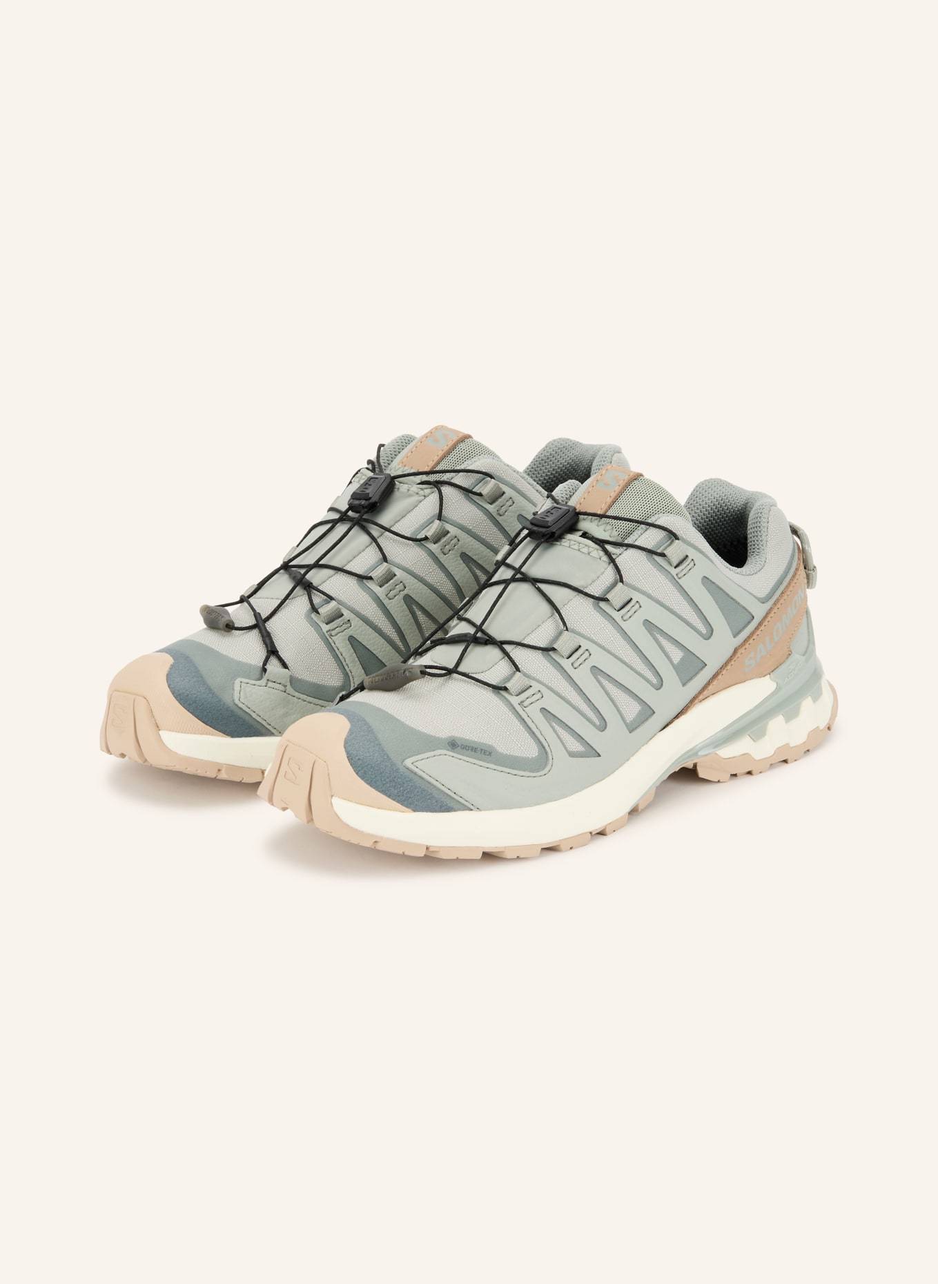 SALOMON Trailrunning-Schuhe  XA PRO 3D V9 GTX LIFELONG: BEIGE / BLAUGRAU