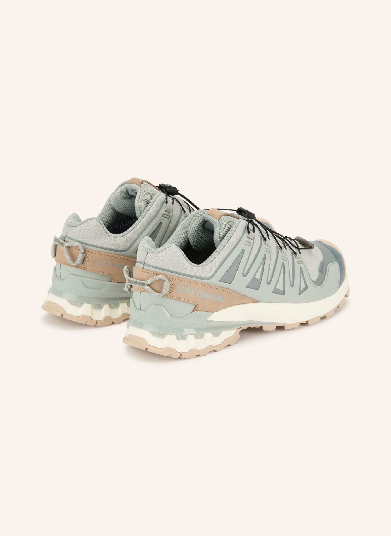 SALOMON Trailrunning-Schuhe  XA PRO 3D V9 GTX LIFELONG: BEIGE / BLAUGRAU