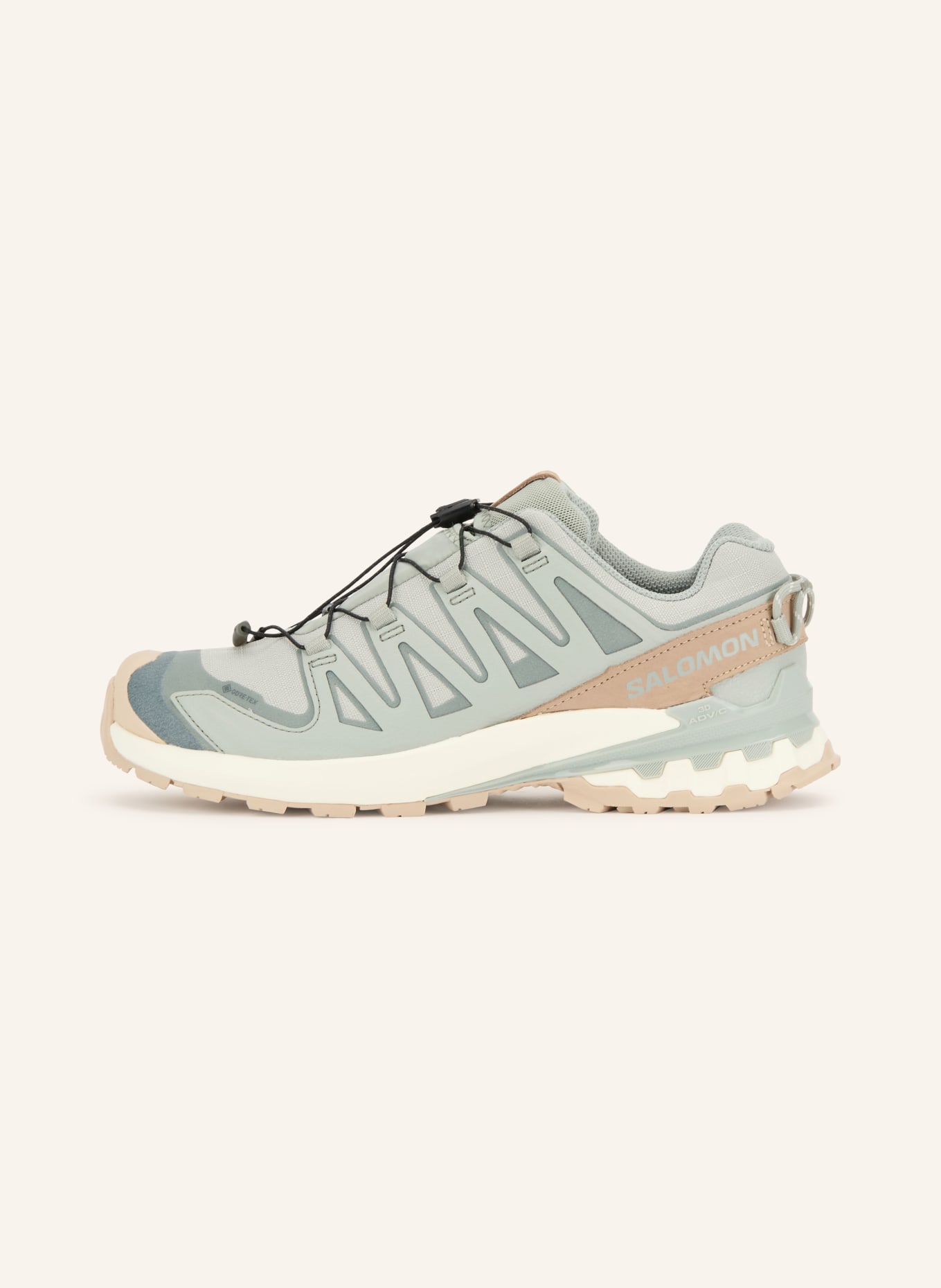 SALOMON Trailrunning-Schuhe  XA PRO 3D V9 GTX LIFELONG: BEIGE / BLAUGRAU