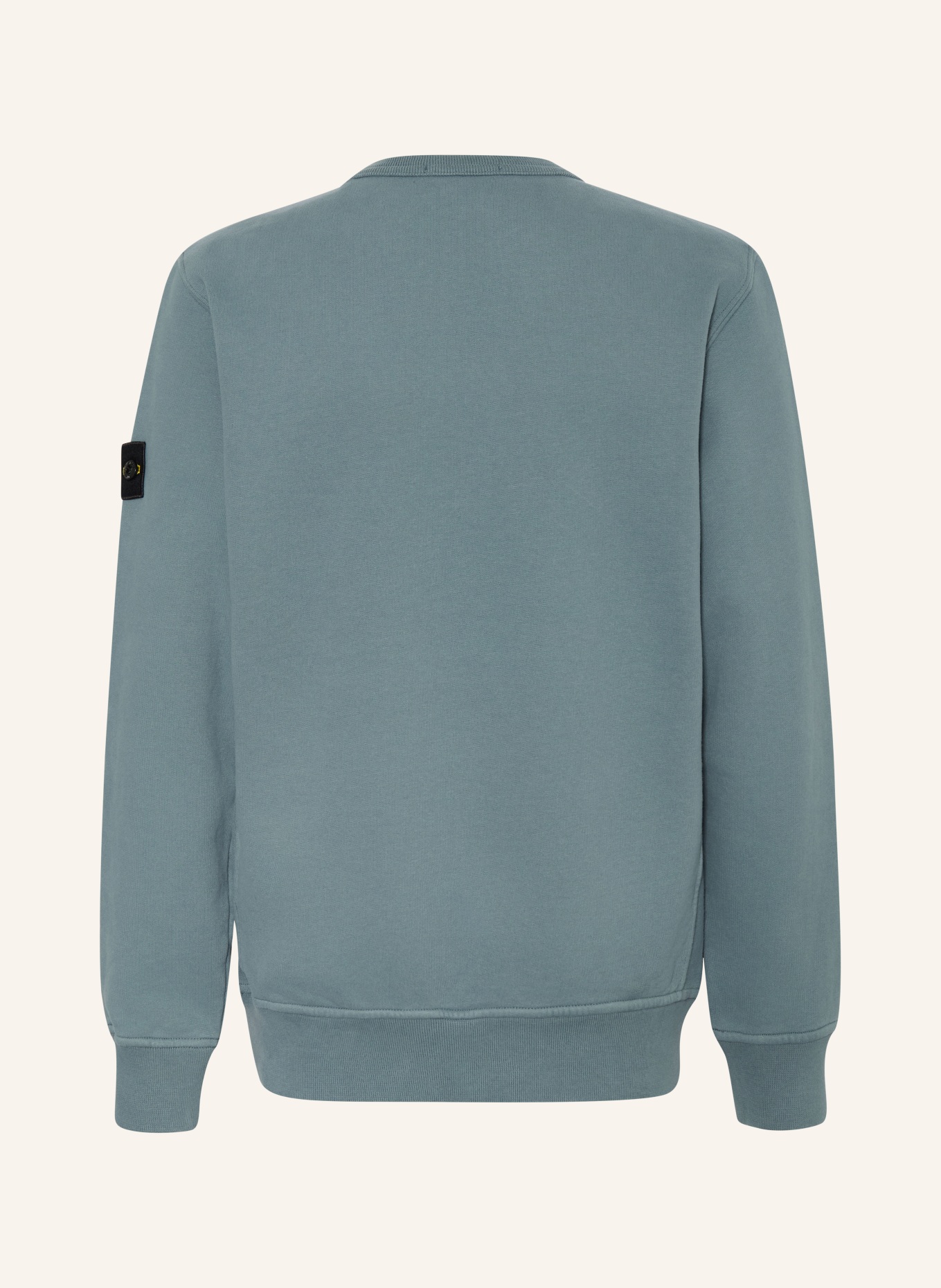 STONE ISLAND JUNIOR Sweatshirt: BLAUGRAU