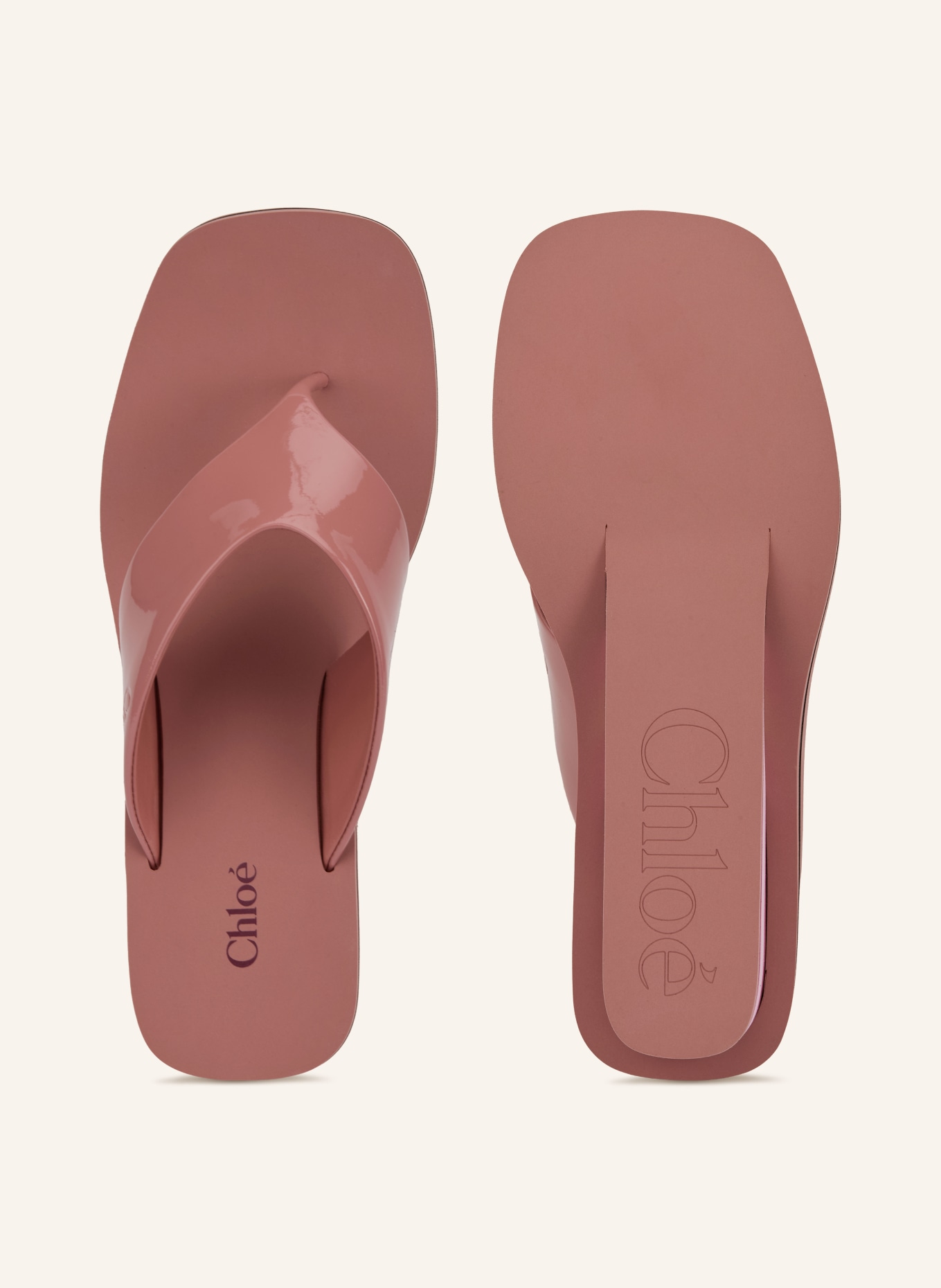 Chloé Zehentrenner: 527 WOODROSE