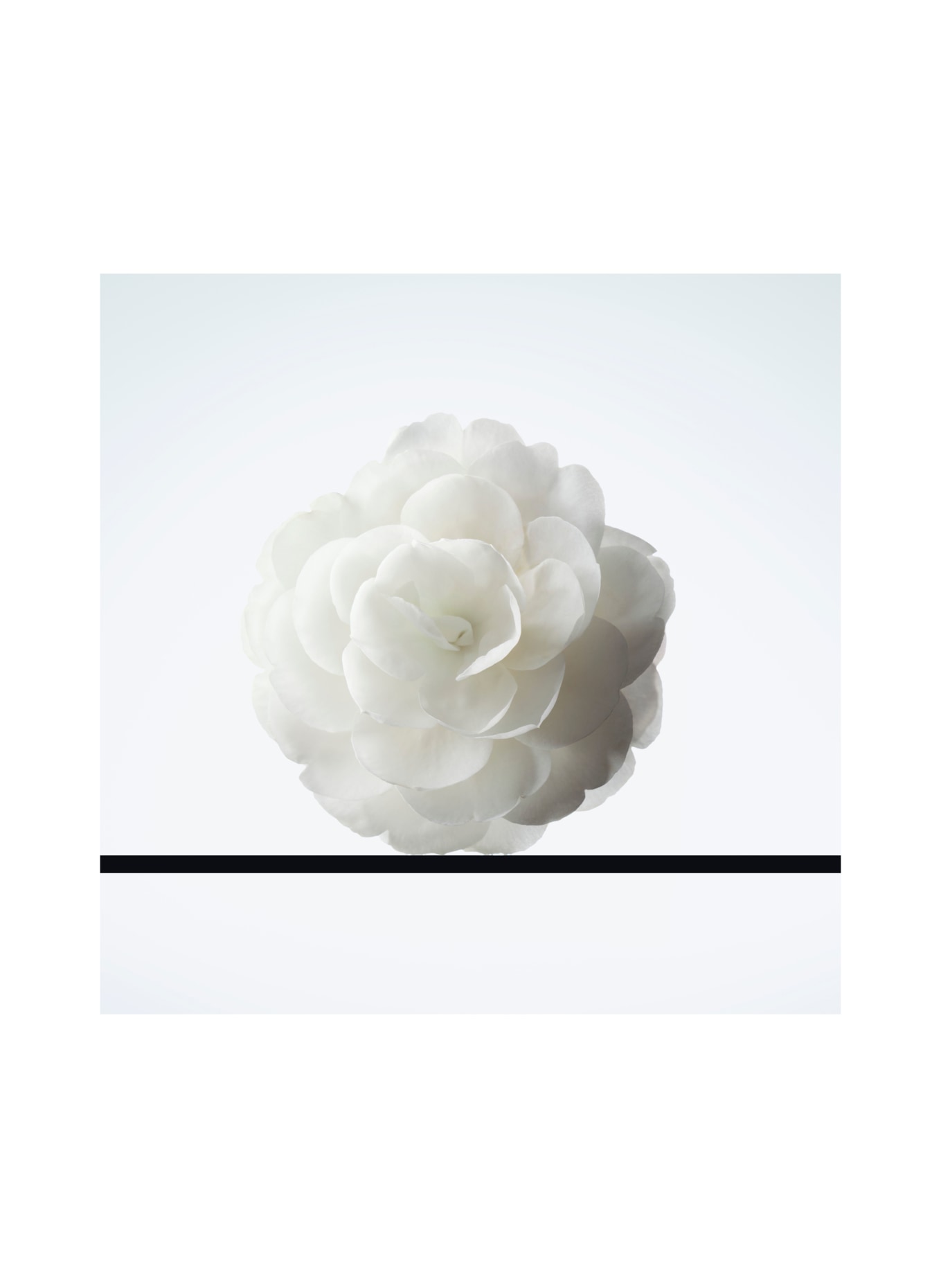 CHANEL DÉMAQUILLANT LACTÉ INTENSE
