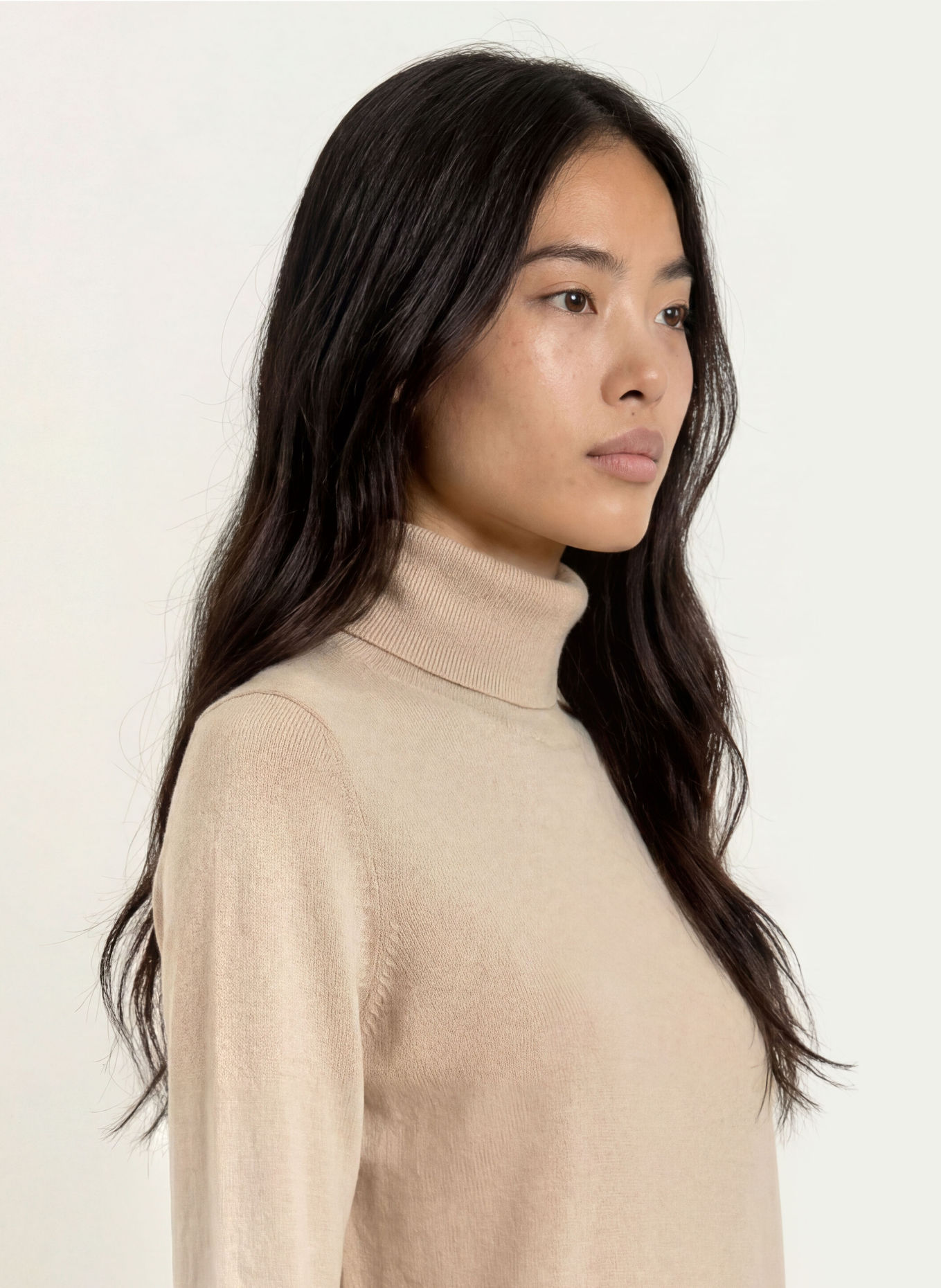 comma Rollkragenpullover: BEIGE