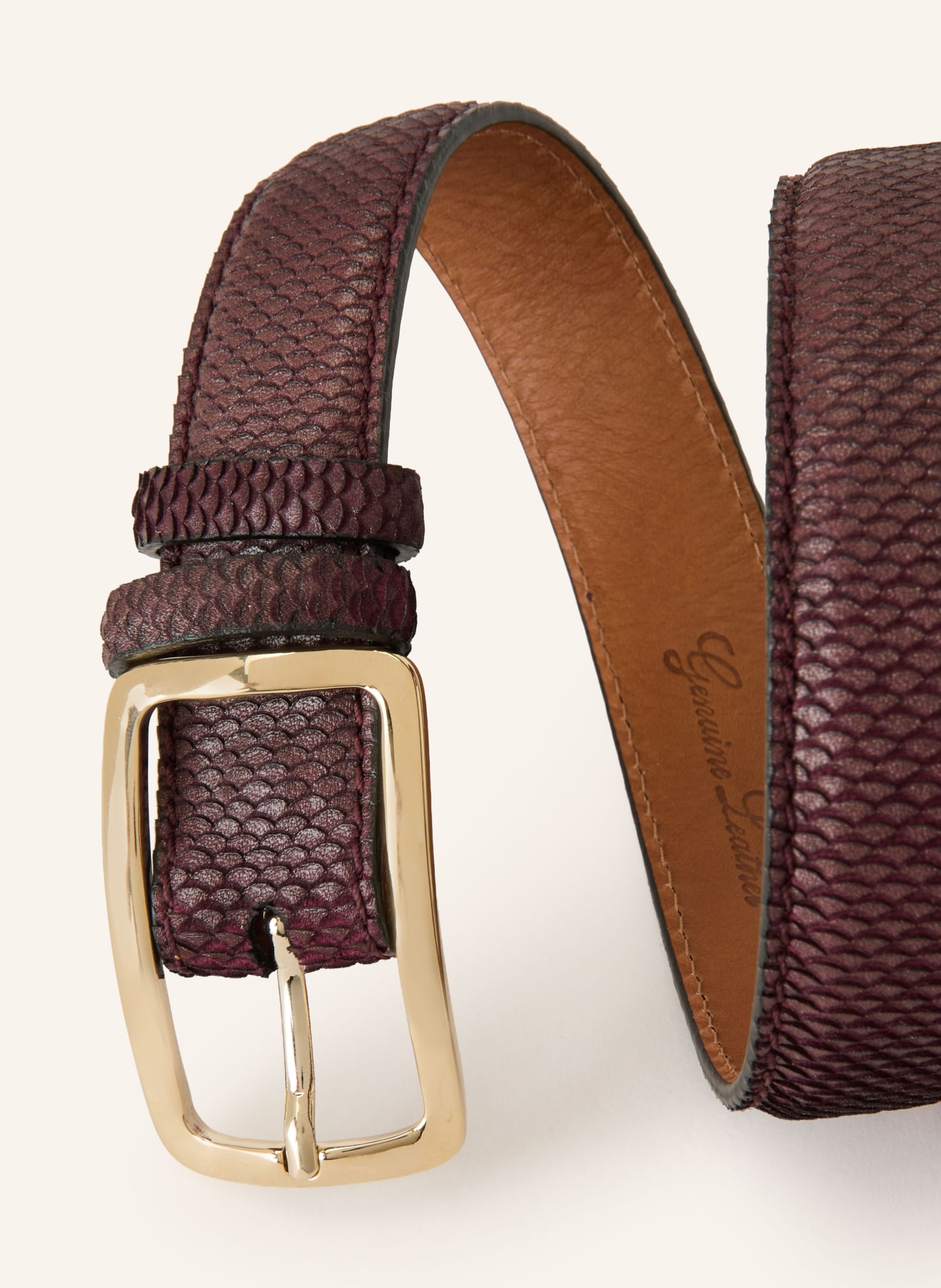 Reptile's House Leren riem BLIND: BRUIN / GOUD