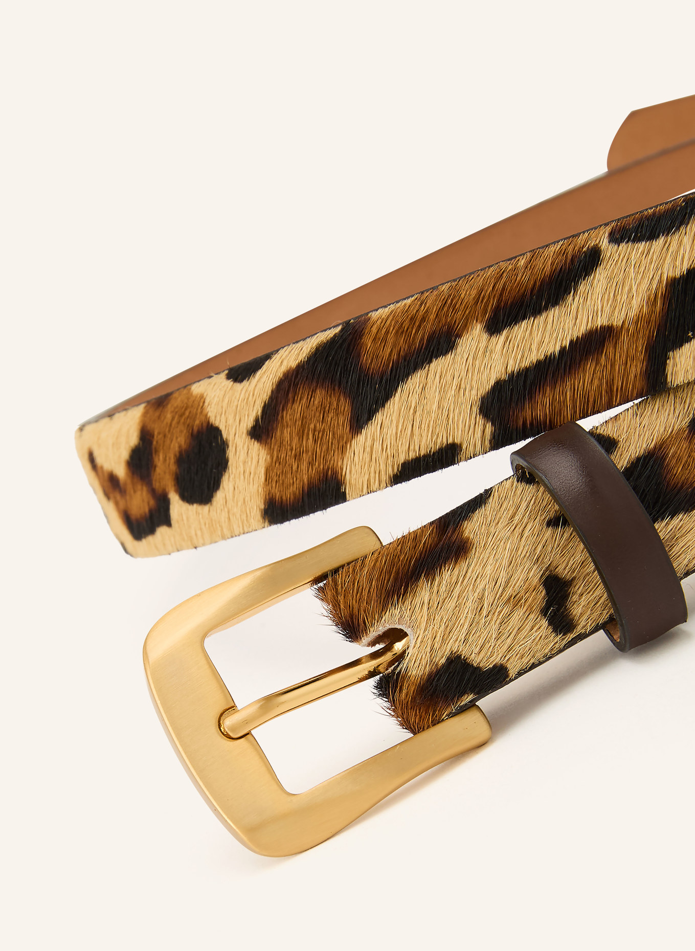 Reptile's House Leather belt: BEIGE / GOLD / BROWN