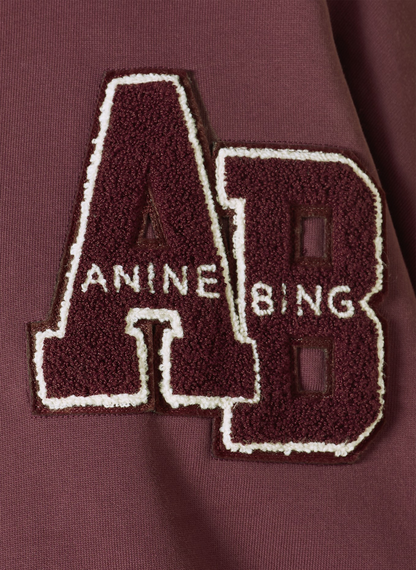 ANINE BING MILES Sweatshirt: DUSKY PINK