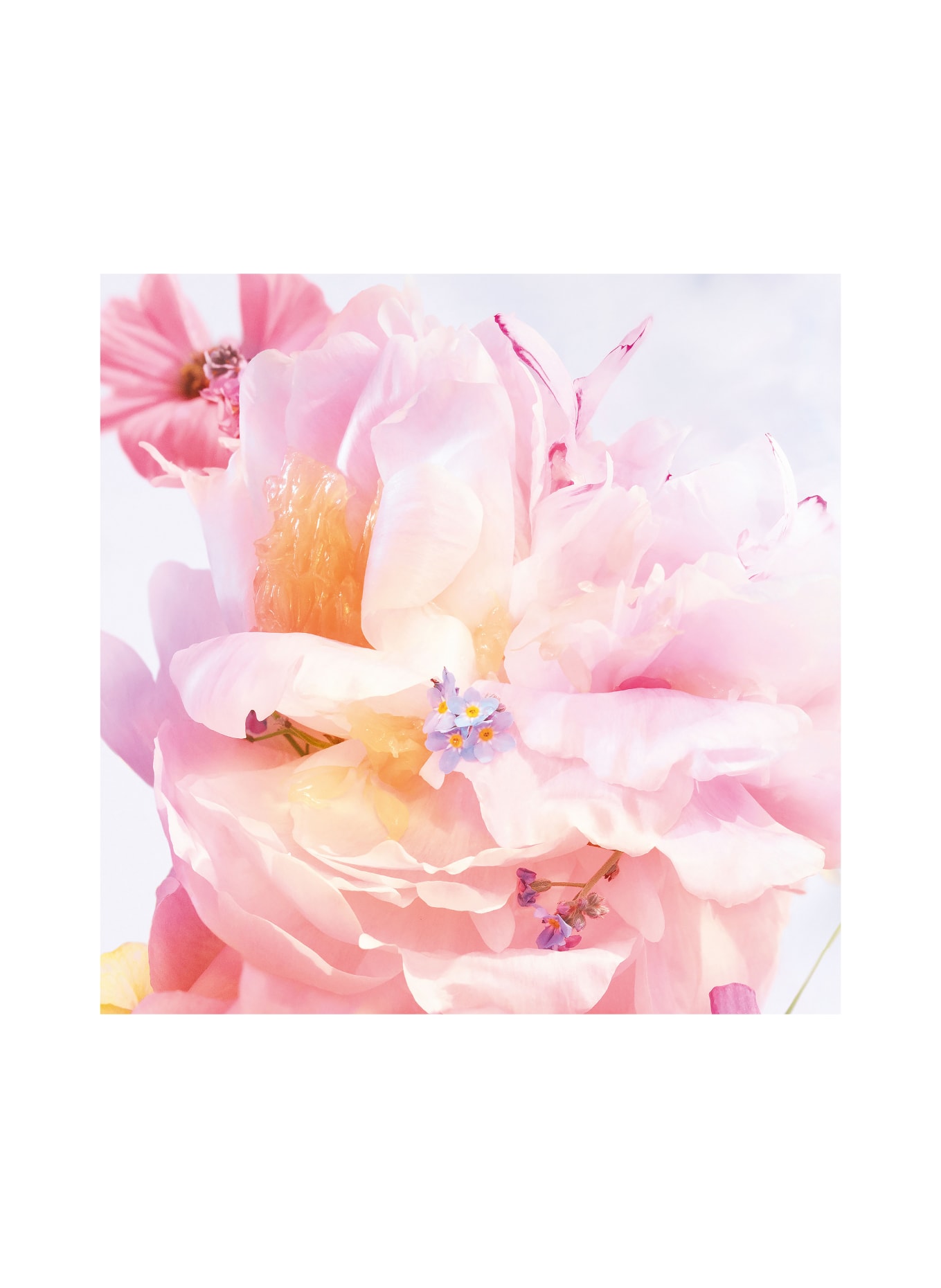 DIOR MISS DIOR BLOOMING BOUQUET ROLLER-PEARL
