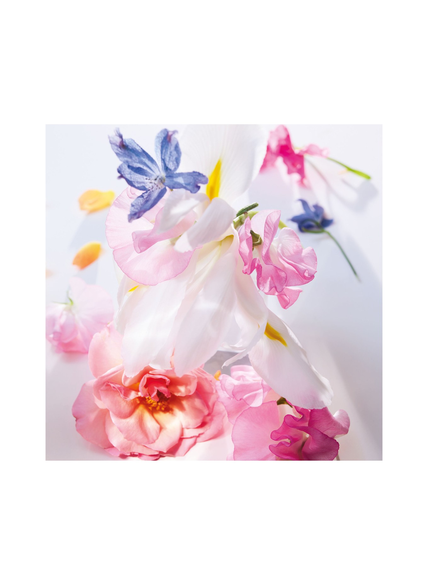 DIOR MISS DIOR ROLLER-PEARL