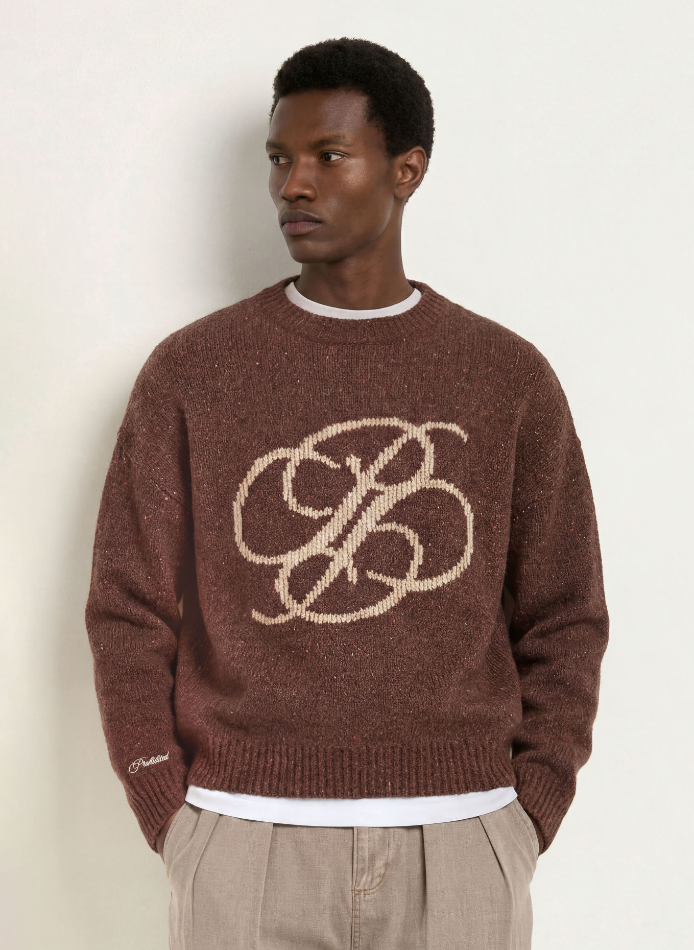PROHIBITED Pullover: BRAUN