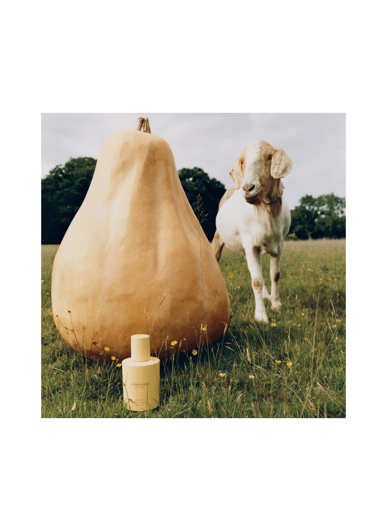 JO MALONE LONDON VELVETY BUTTERNUT