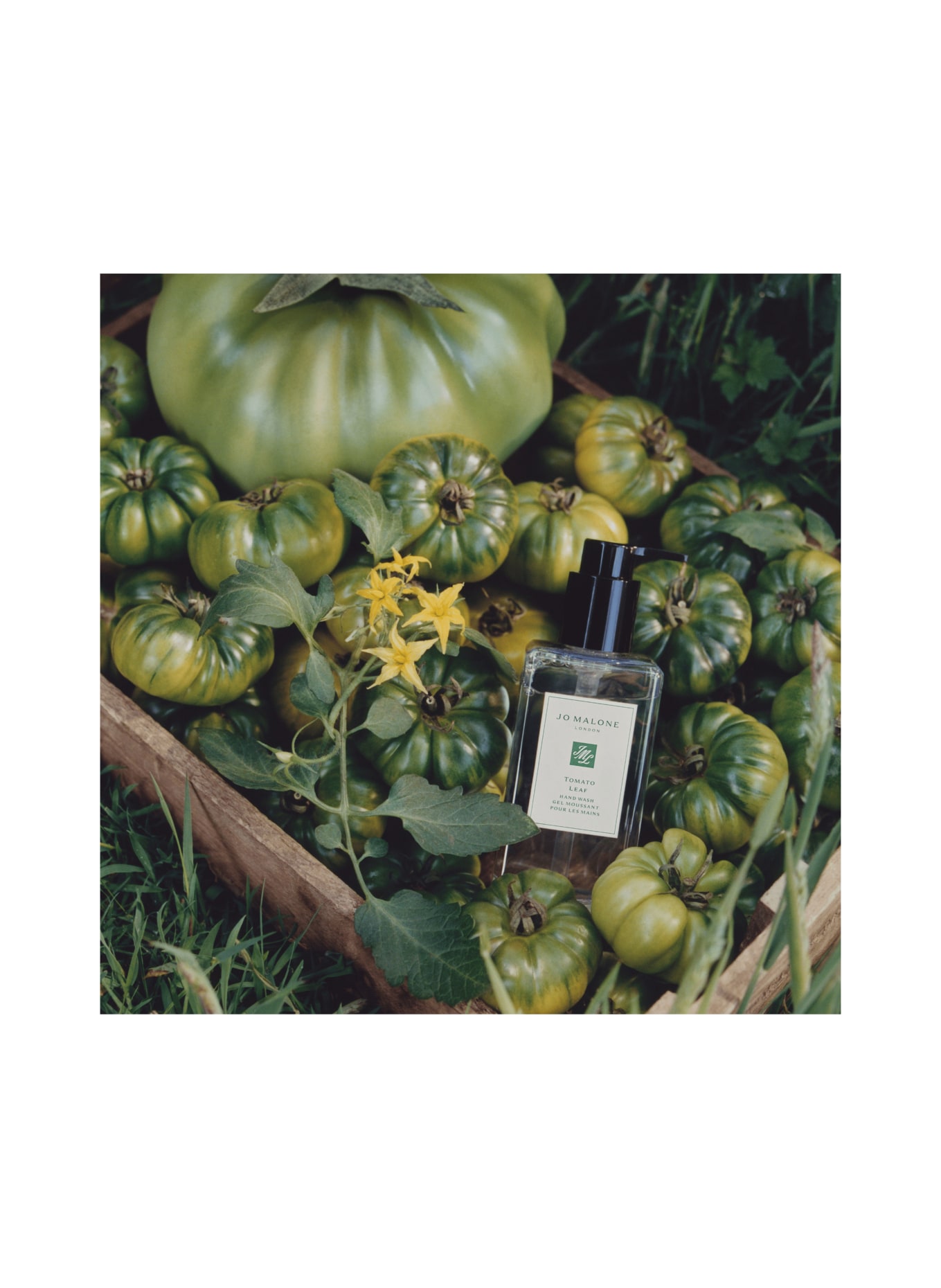 JO MALONE LONDON TOMATO LEAF