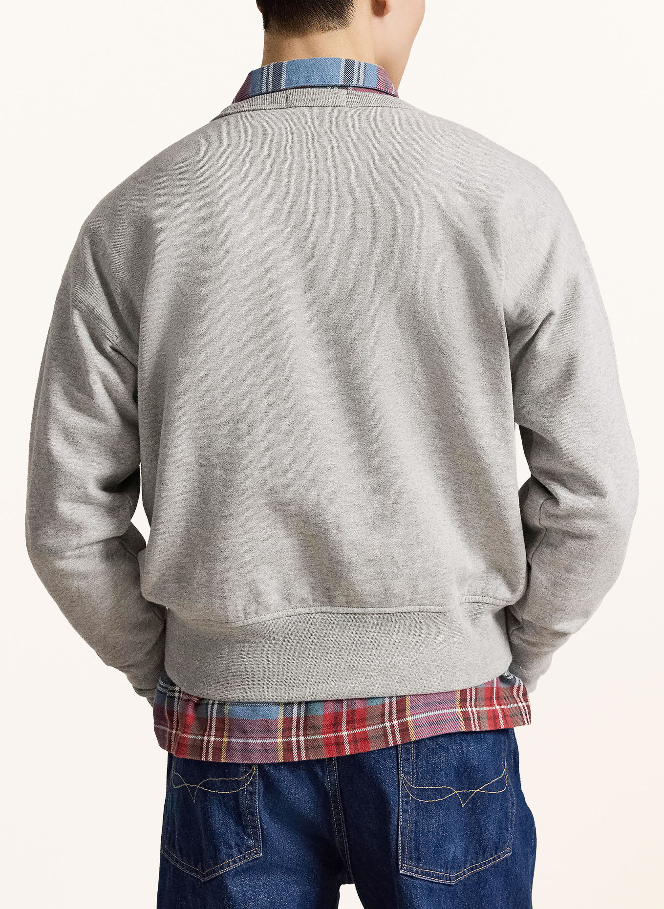 POLO RALPH LAUREN Sweatshirt: LICHTGRIJS / LICHTBRUIN / BLAUW