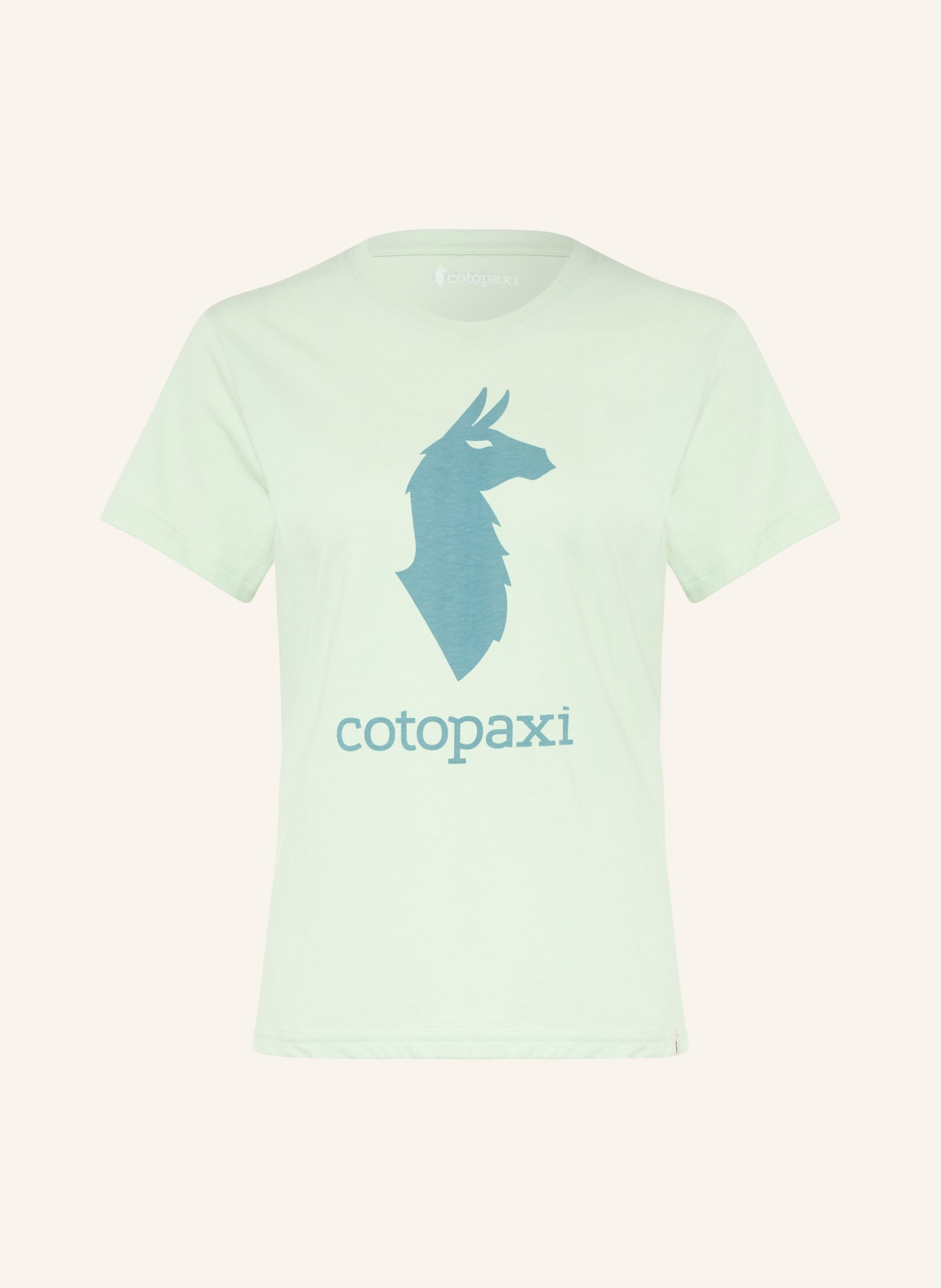 cotopaxi LLAMA T-shirt: LIGHT GREEN / TEAL
