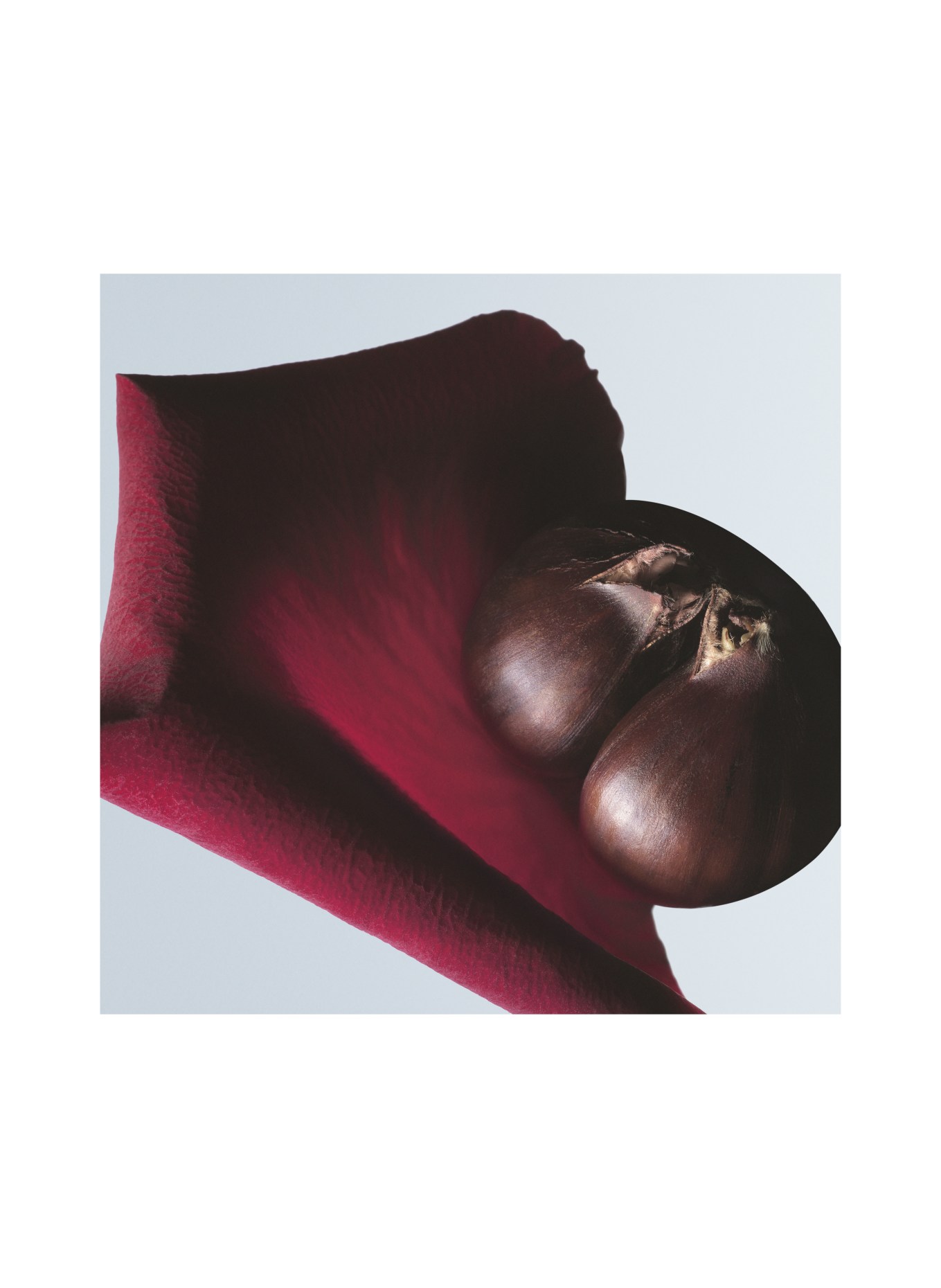 DRIES VAN NOTEN BEAUTY SOIE MALAQUAIS