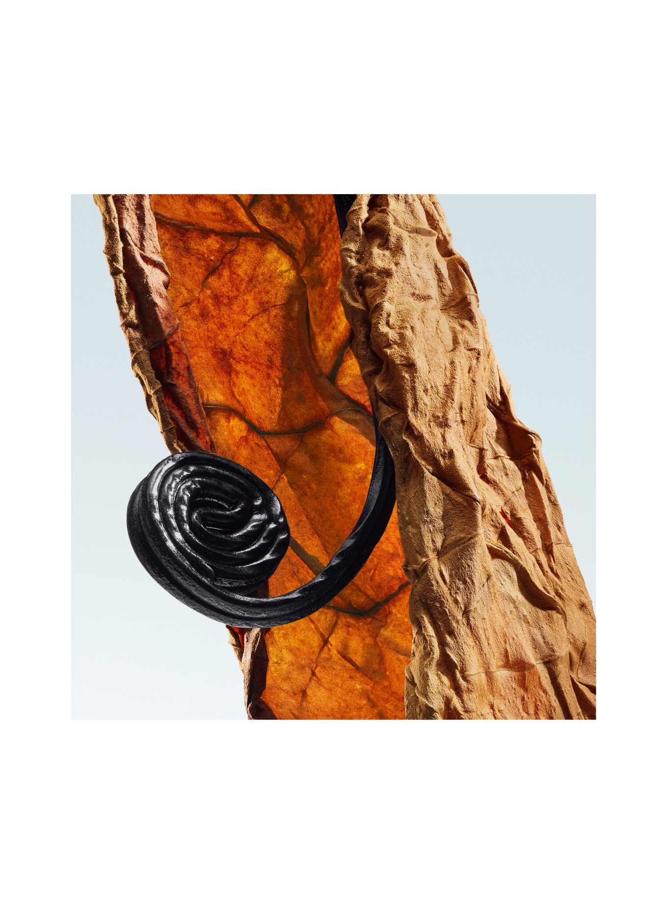 DRIES VAN NOTEN BEAUTY HAVANA GOLD