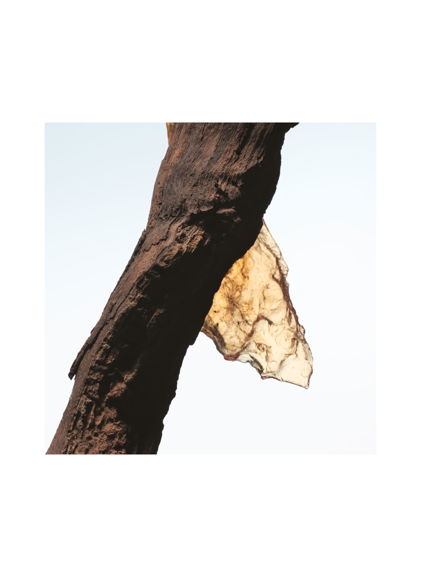 DRIES VAN NOTEN BEAUTY ROCK THE MYRRH