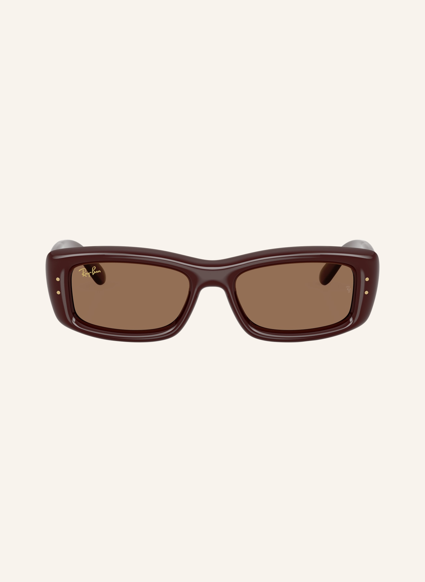Ray-Ban Sunglasses RB4944: TRANSPARENT DARK BROWN / DARK BROWN
