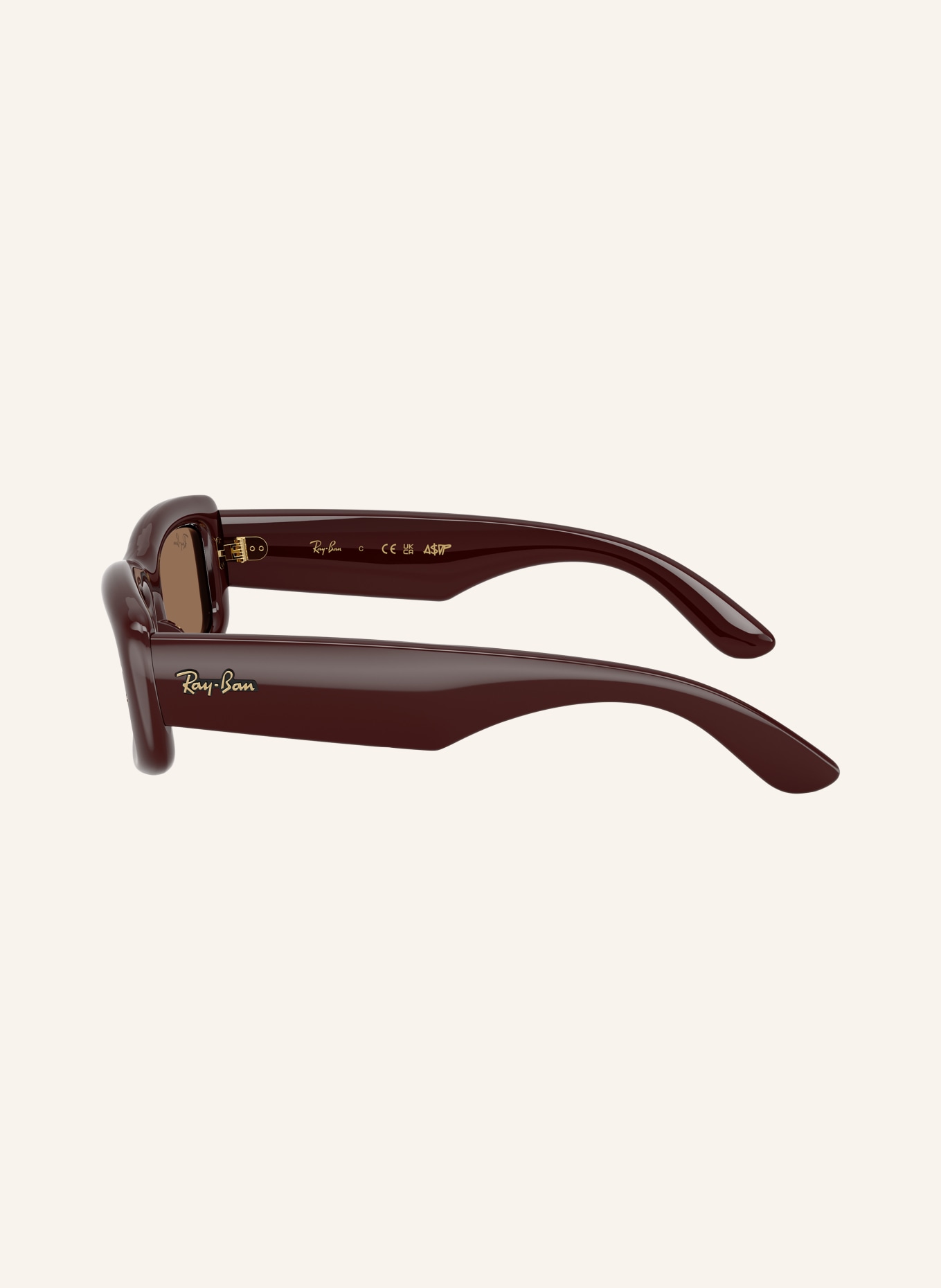 Ray-Ban Sunglasses RB4944: TRANSPARENT DARK BROWN / DARK BROWN