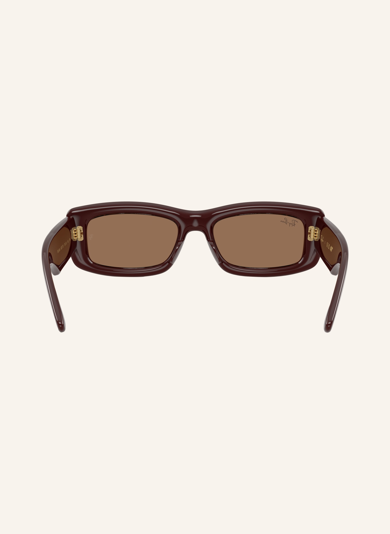 Ray-Ban Sunglasses RB4944: TRANSPARENT DARK BROWN / DARK BROWN